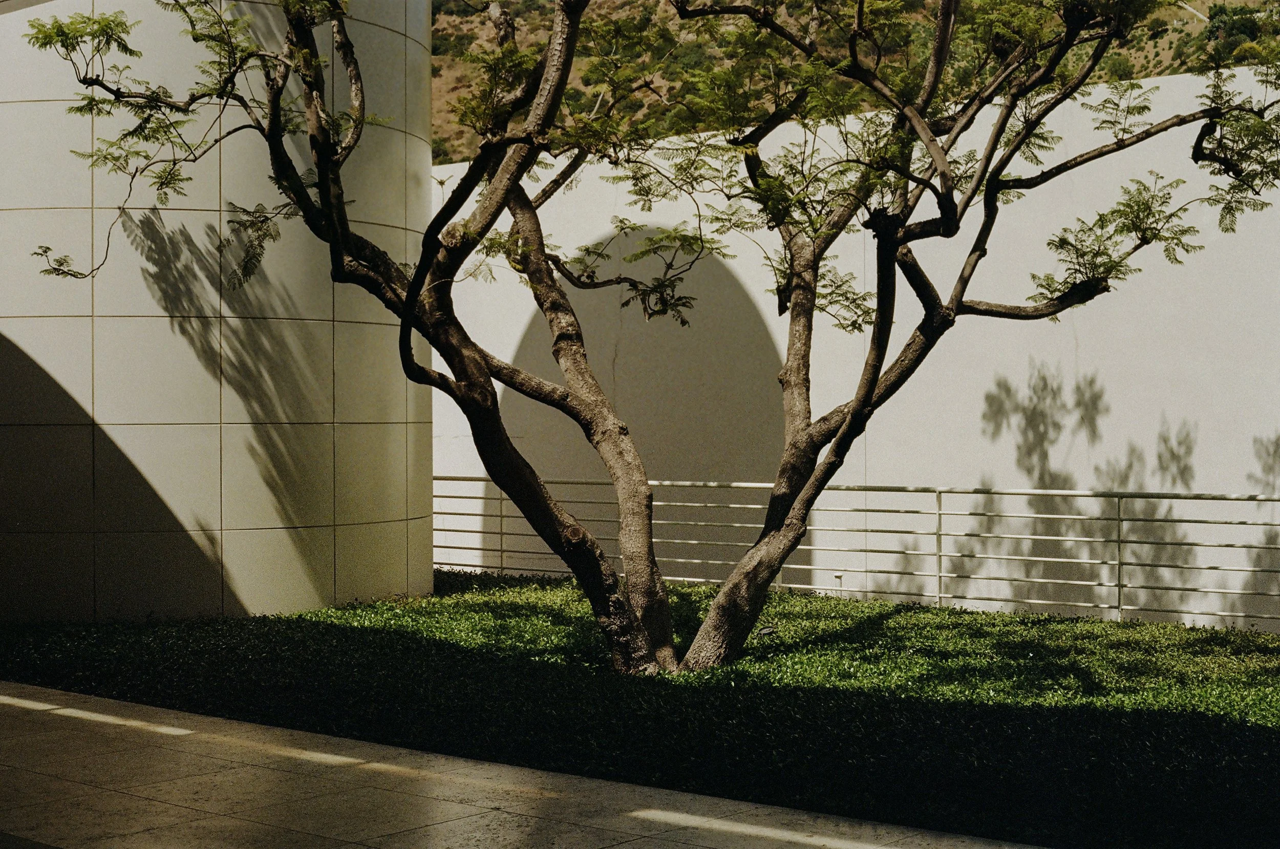 THE GETTY, LOS ANGELES; 2024