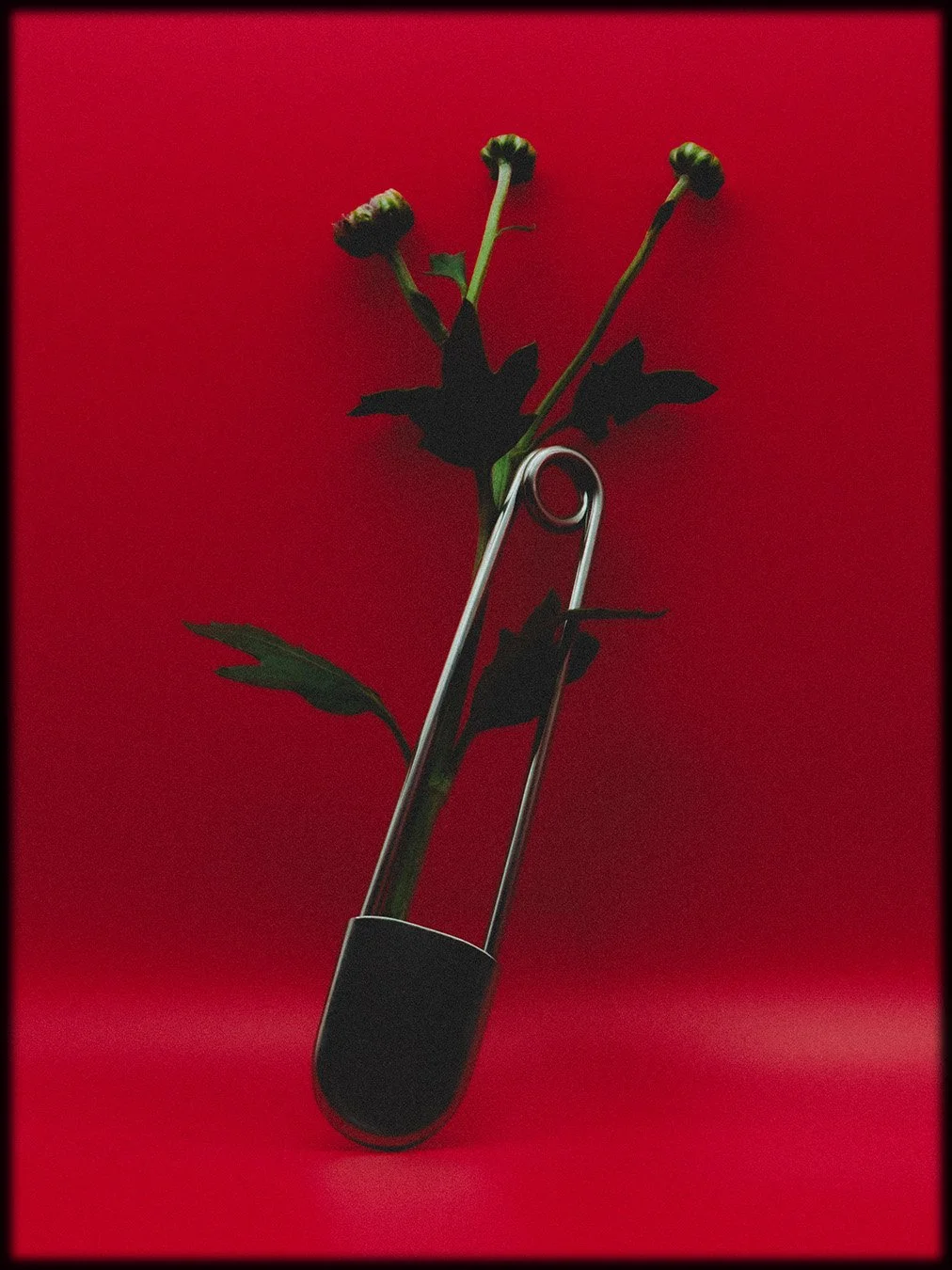 FOUND, STILL LIFE; 2025