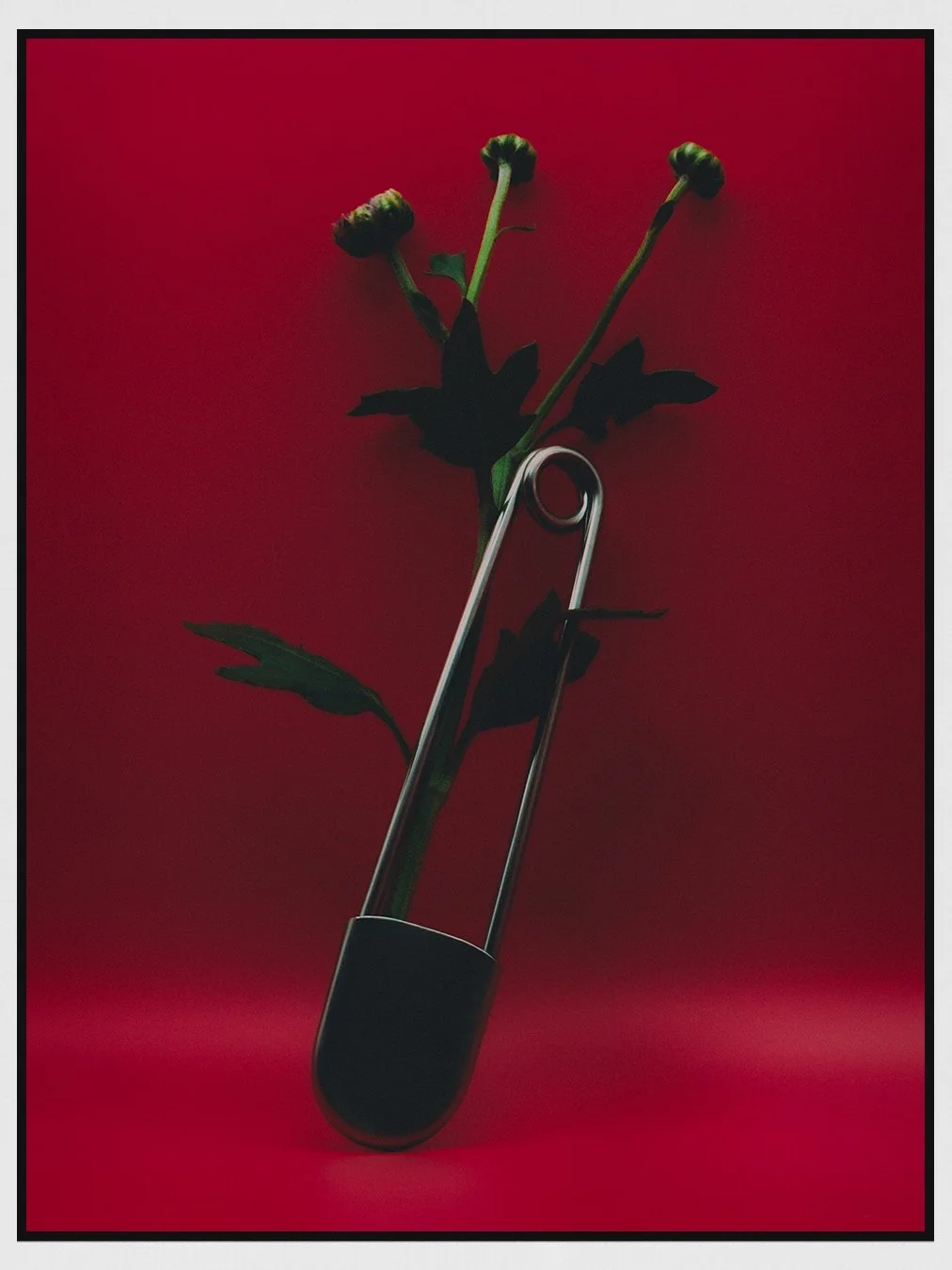 FOUND, PERSONAL STILL LIFE; 2025