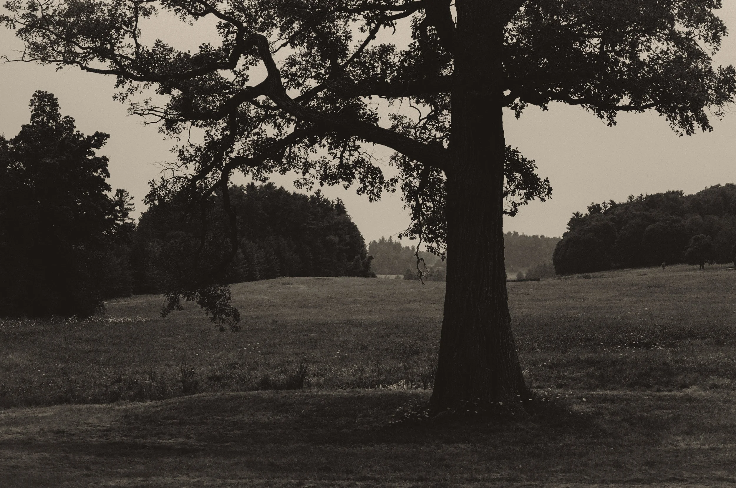 SHELBURNE, VERMONT; 2025