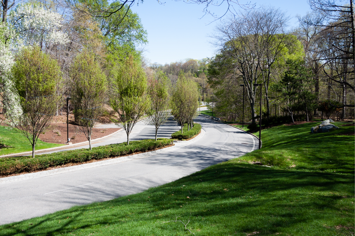 How AACME Auto Helps Local Hendricks County Residents Reclaim Their Driveways