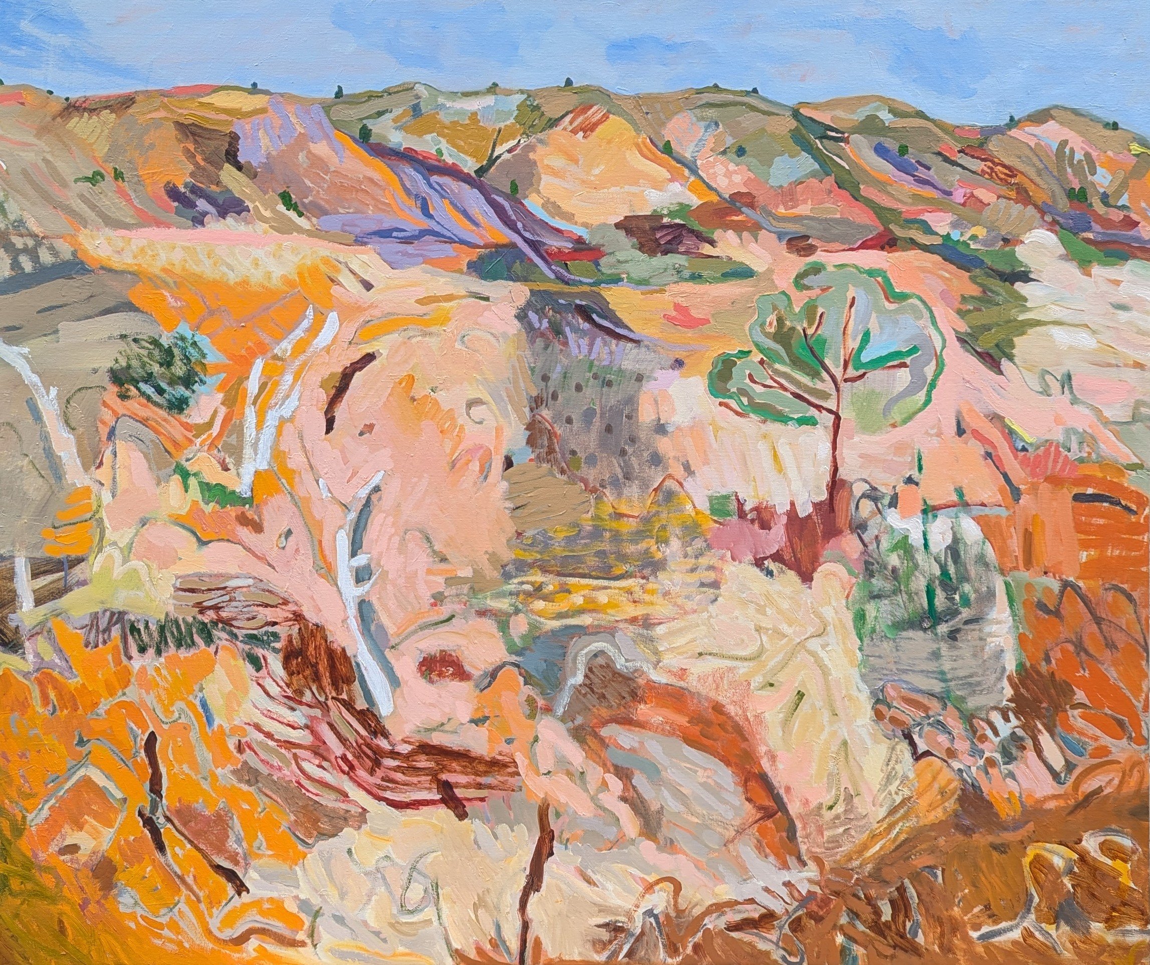 Leopard tree, Fowler's Gap