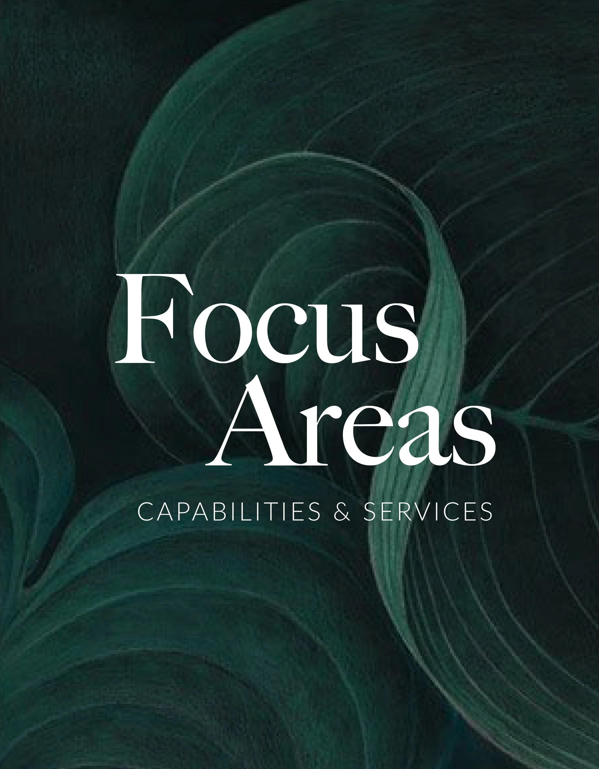 Focus Areas: Capabilities & Services