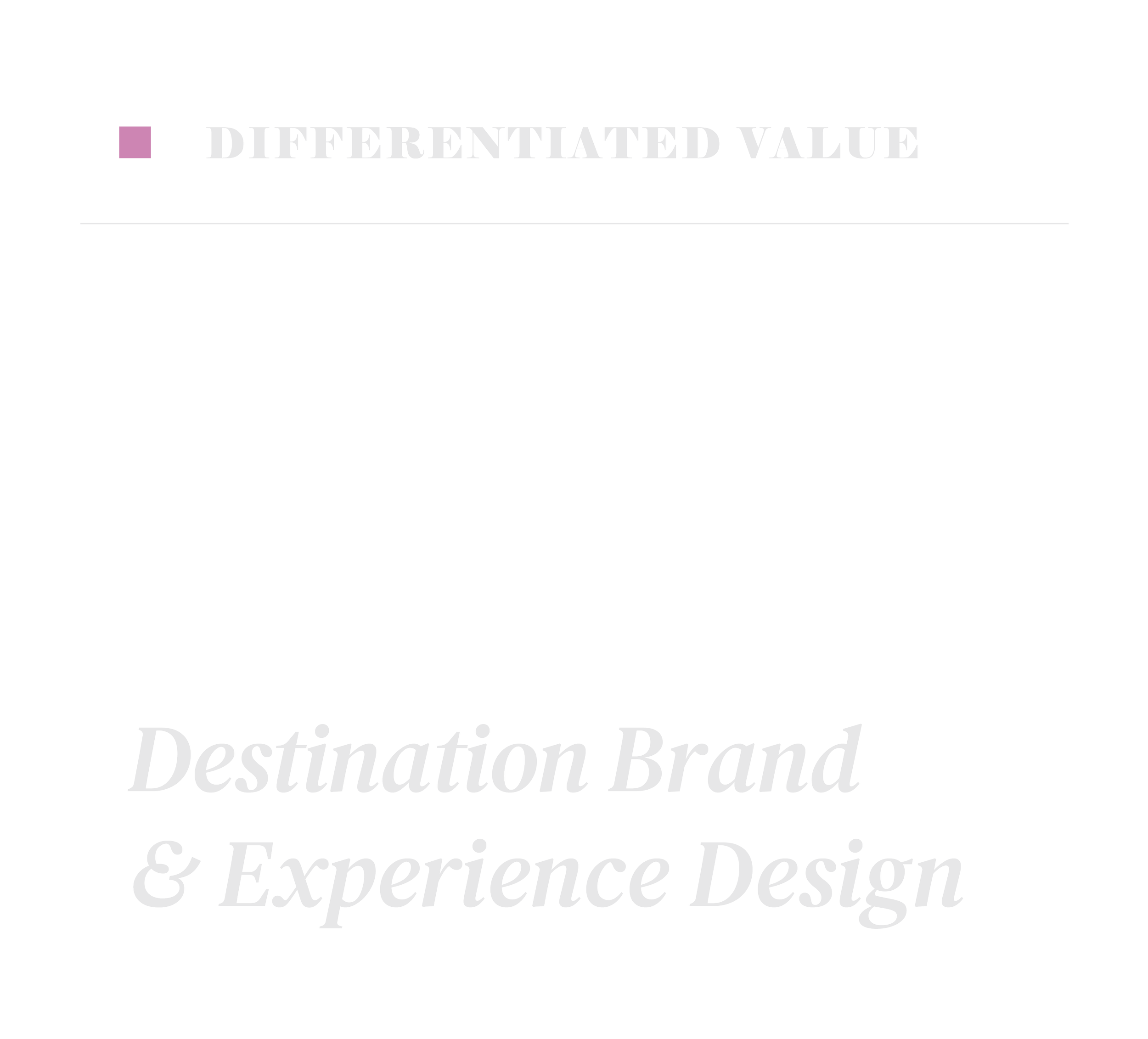 Differentiated Value: 17+ Years Destination Brand & Experience Design