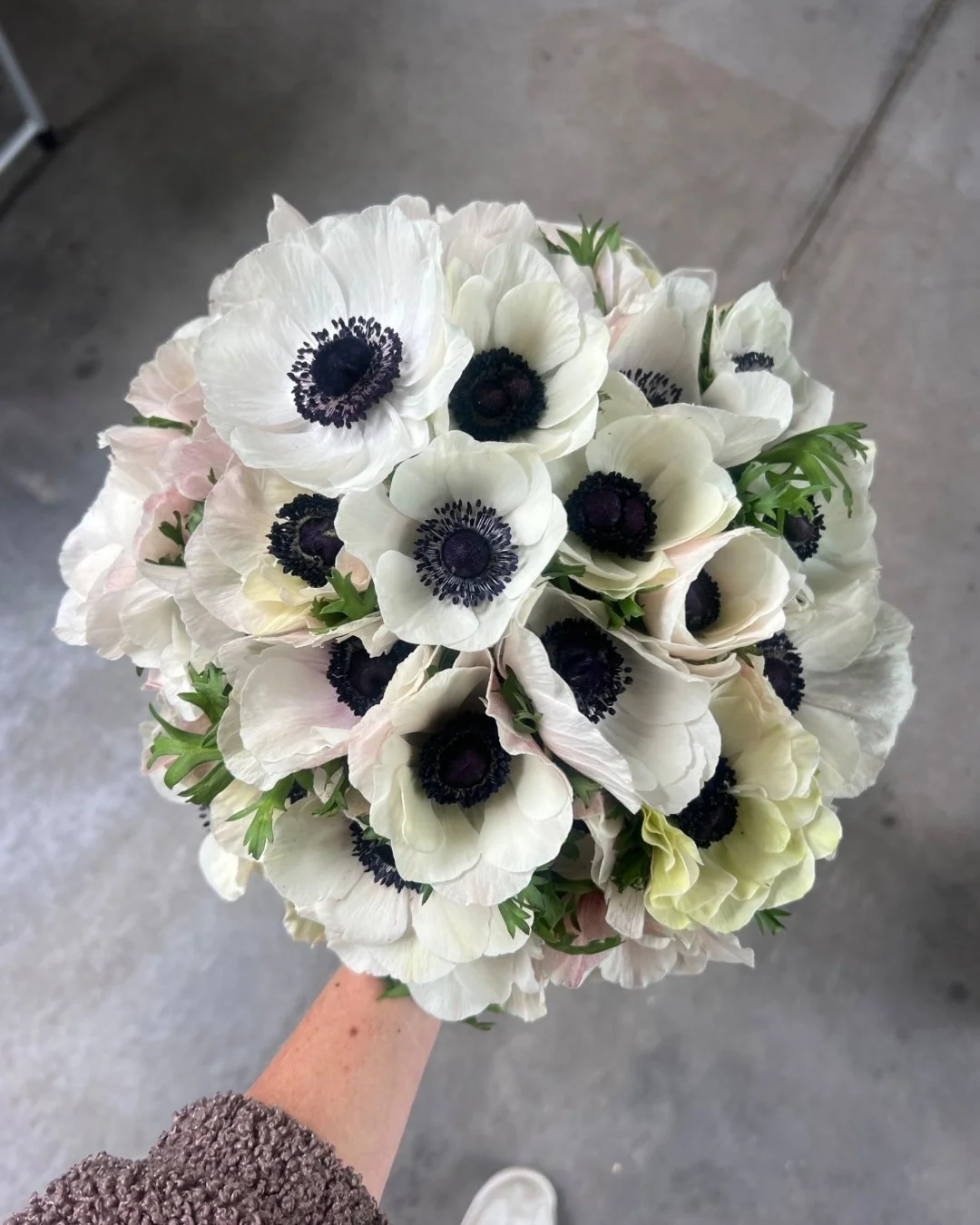 Anemones for Bella 🖤
Couldn&rsquo;t have love these bouquets more from Bella and Grant&rsquo;s timeless, October wedding.
-
Quiet on here, but busy behind the scenes flowering some seriously some beautiful Spring weddings! Time to share some more ph