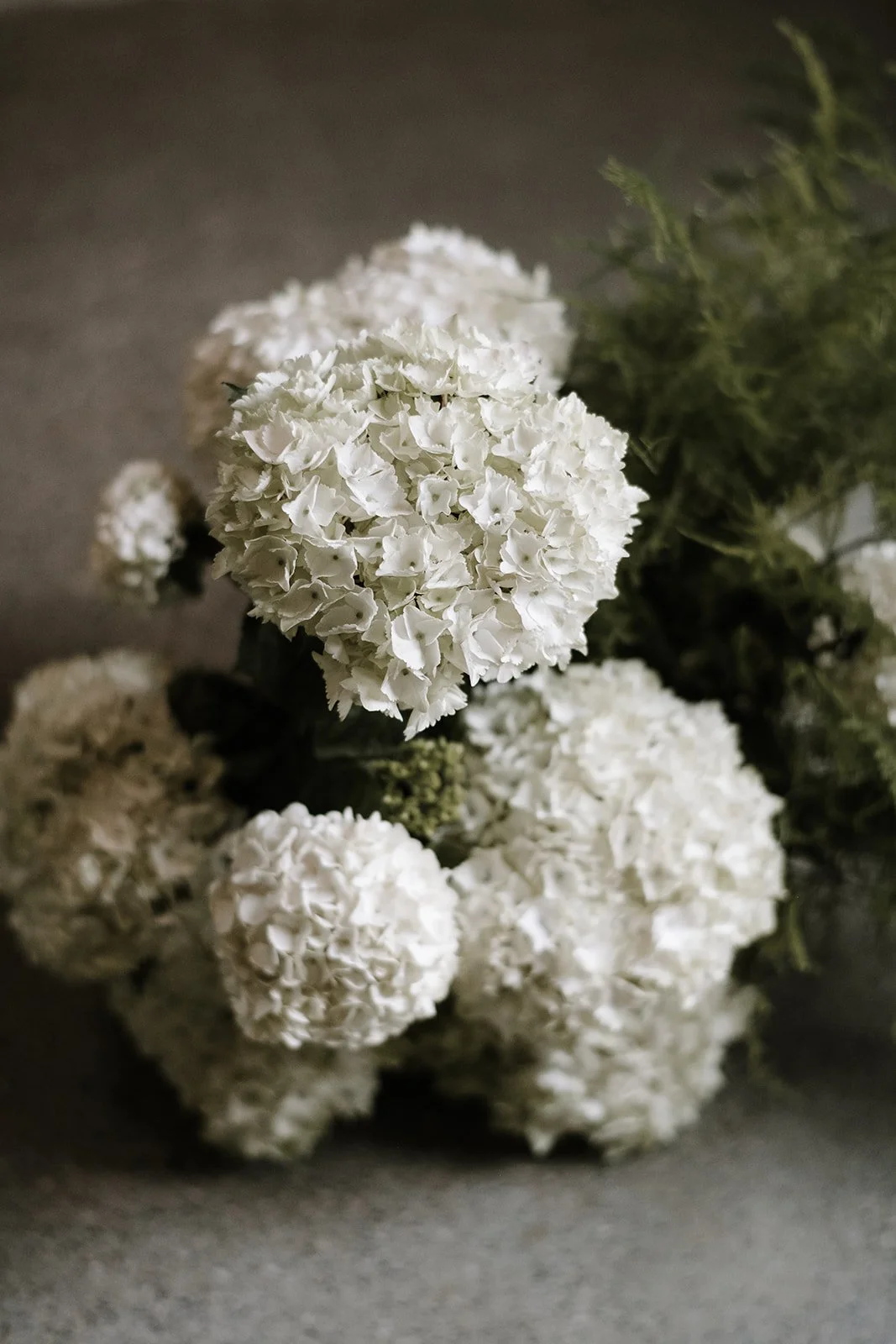 IMG_0015.jpeg
