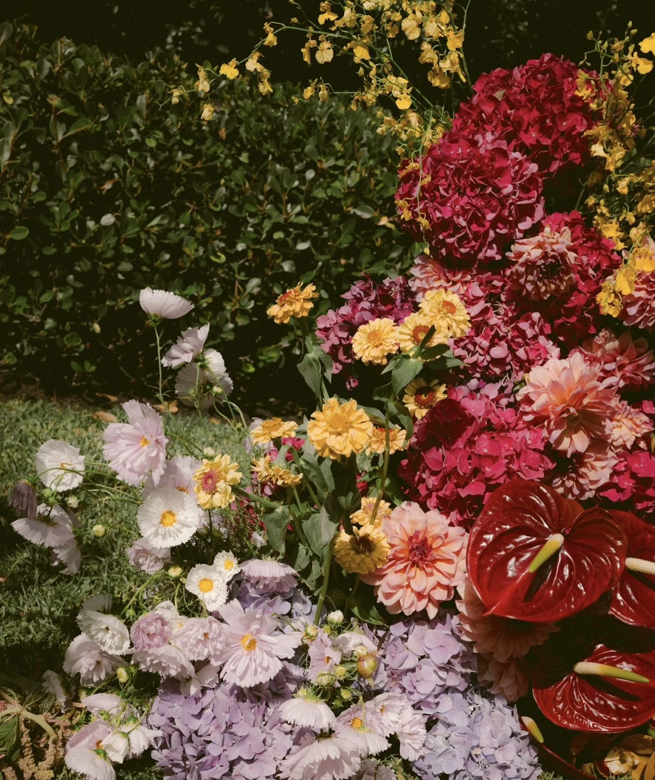 IMG_7204.jpeg