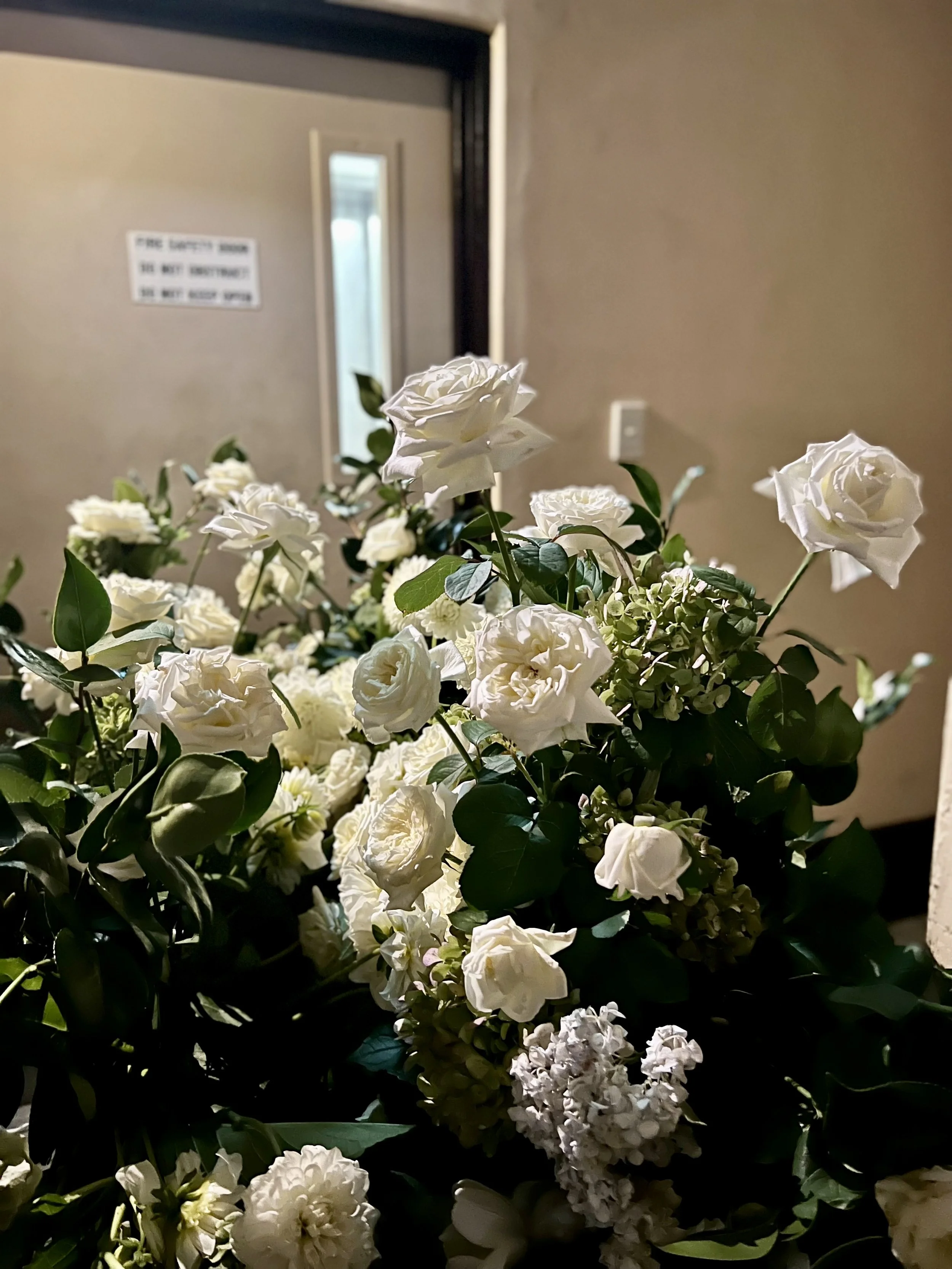 IMG_4183.jpeg