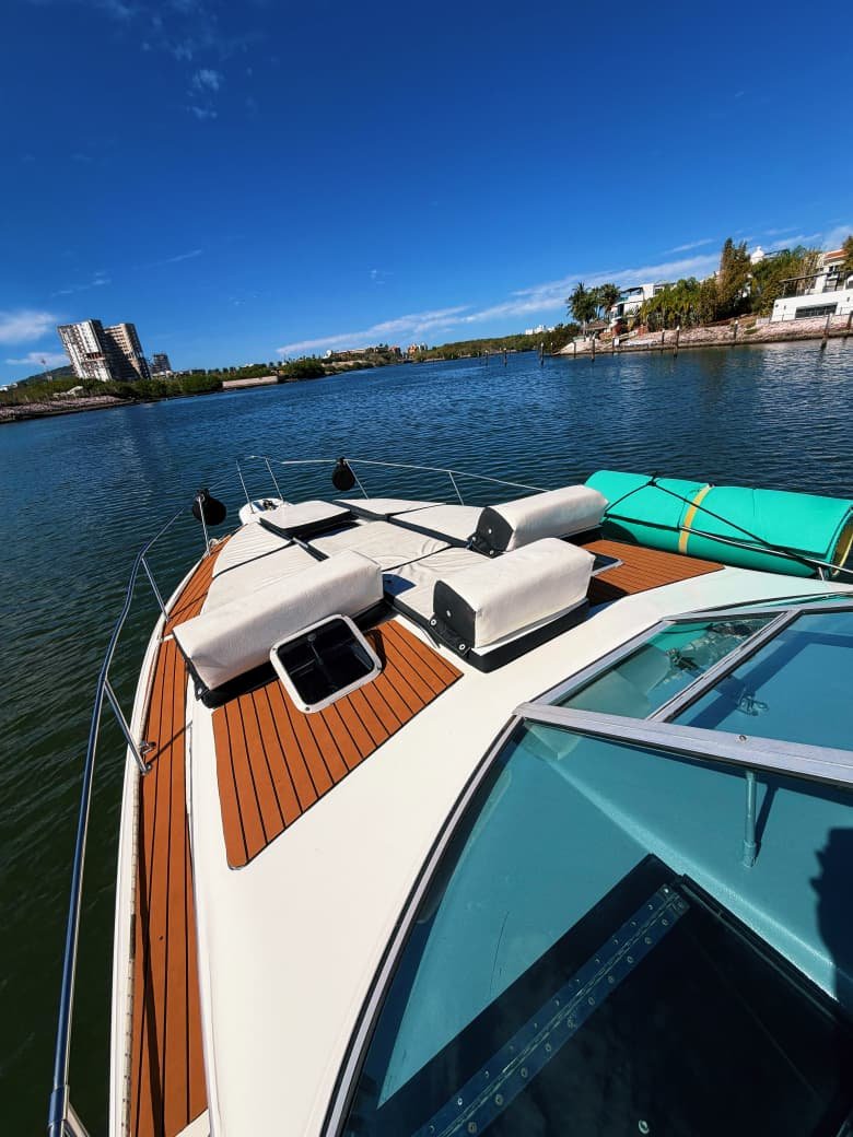 WhatsApp Image 2026-02-26 at 9.22.04 PM.jpeg