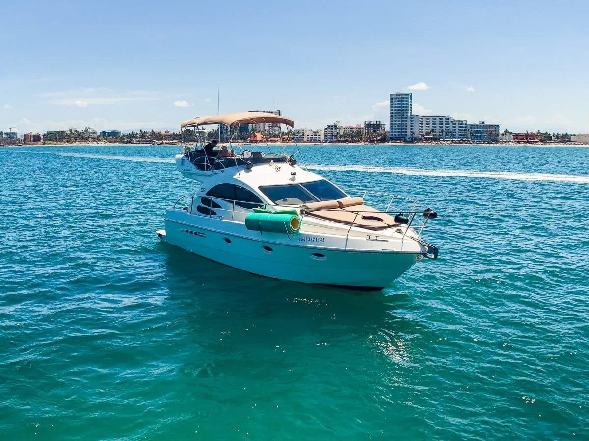 WhatsApp Image 2026-03-06 at 12.12.01 AM (1).jpeg