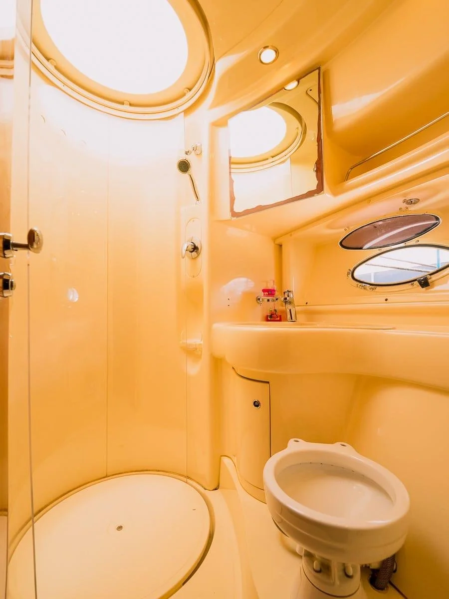 WhatsApp Image 2026-03-06 at 12.12.04 AM (1).jpeg