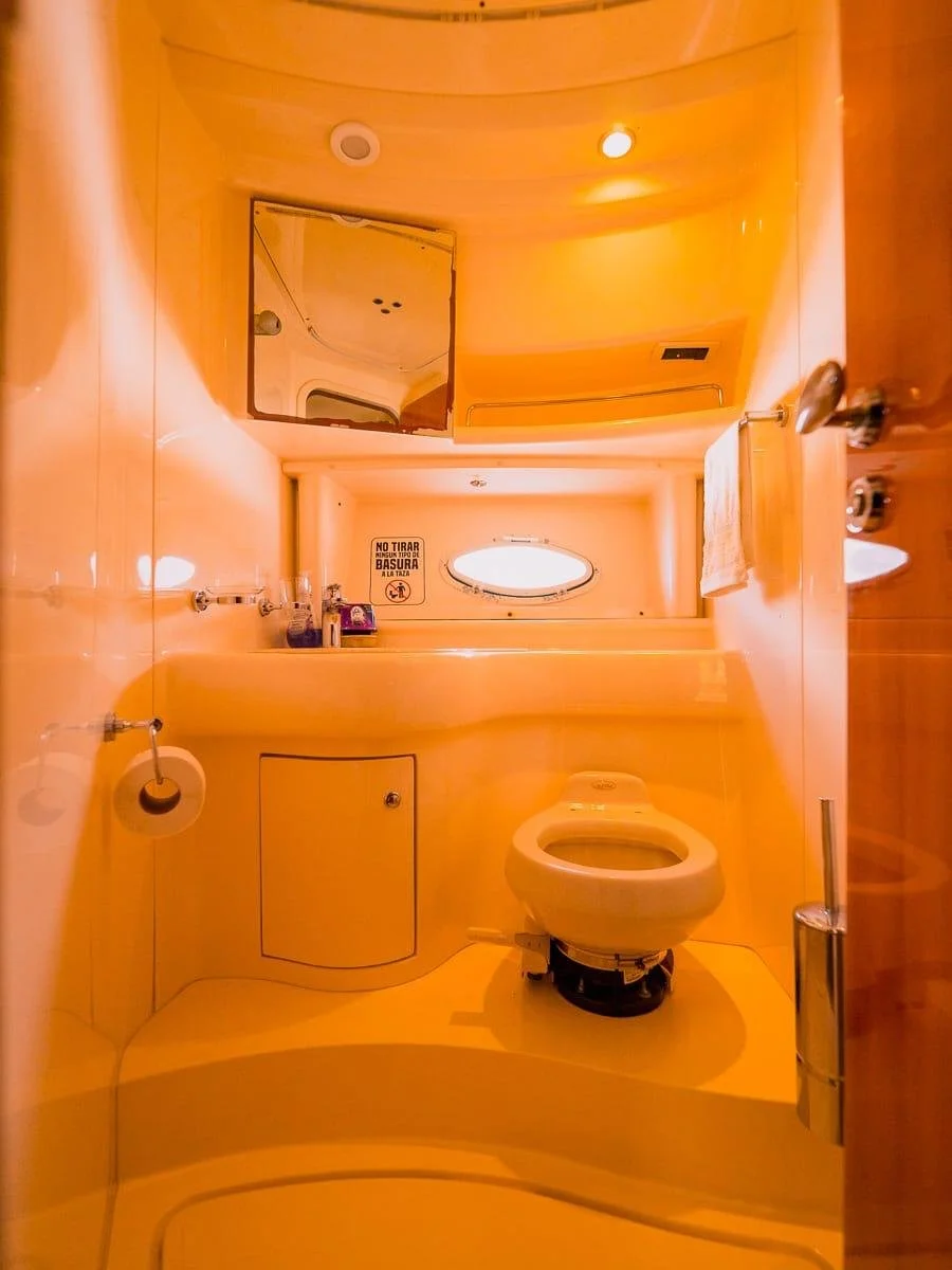 WhatsApp Image 2026-03-06 at 12.12.02 AM.jpeg