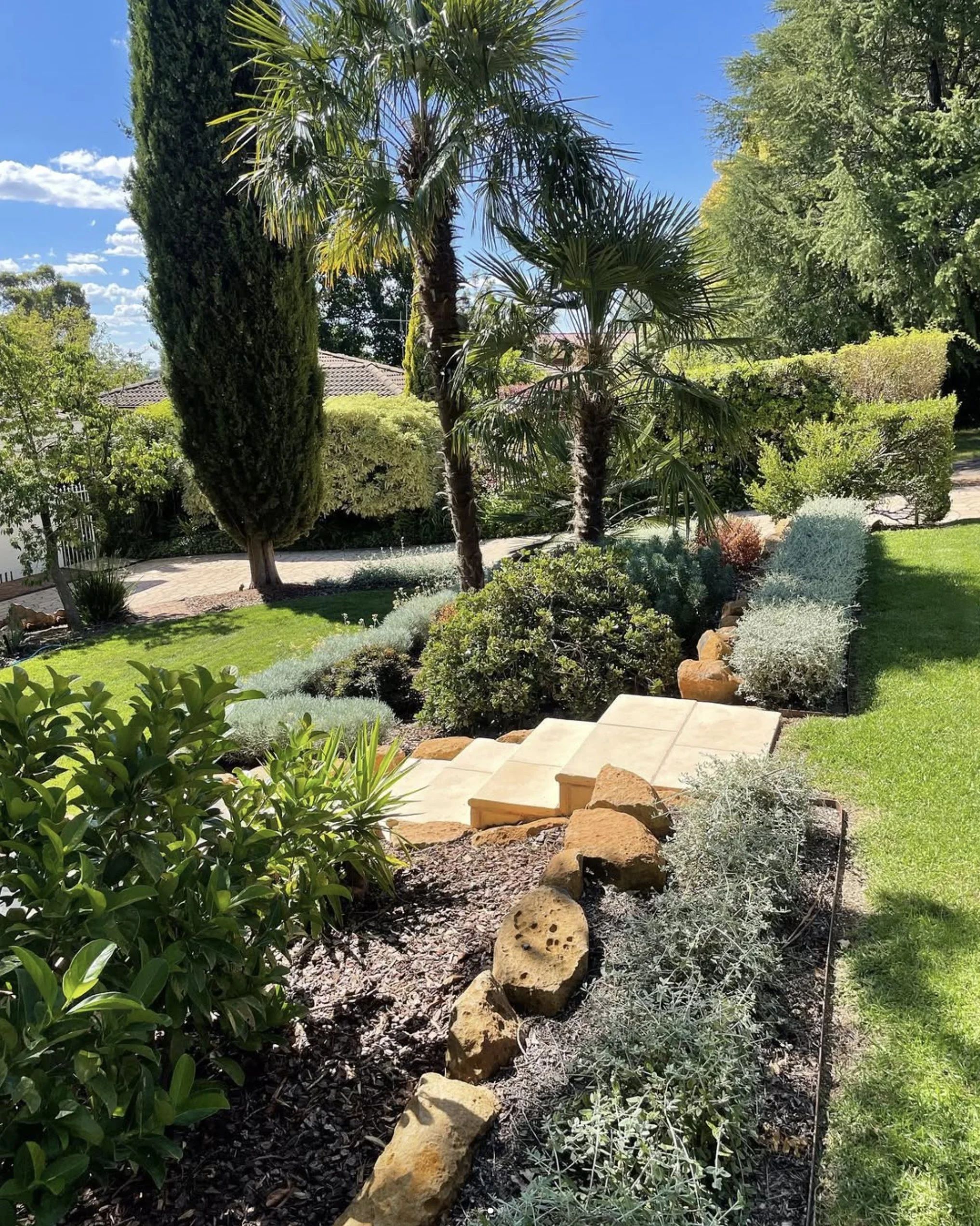 landscaping-orangensw-palm.jpg