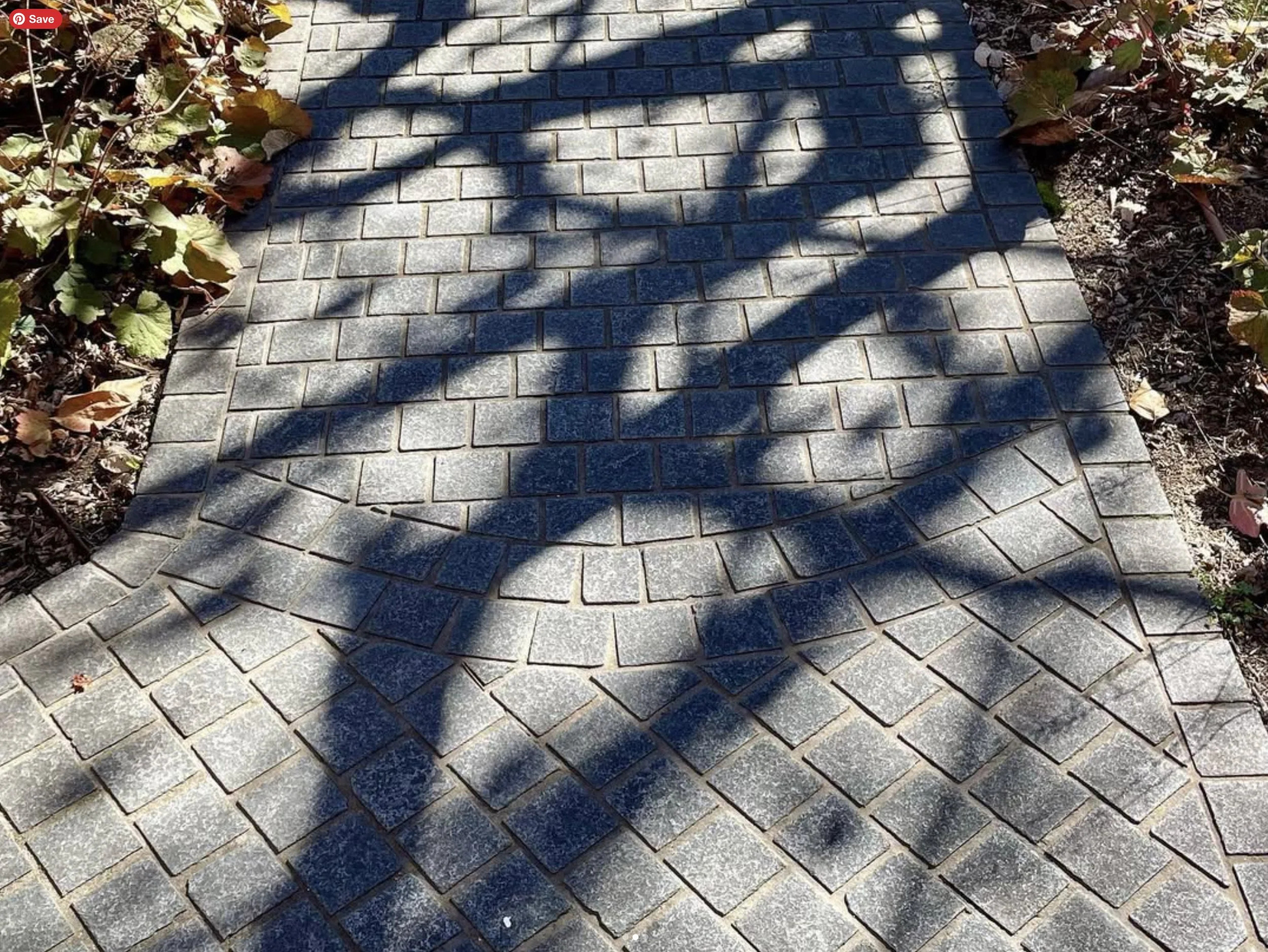 landscaping-orangensw-autumn.jpg