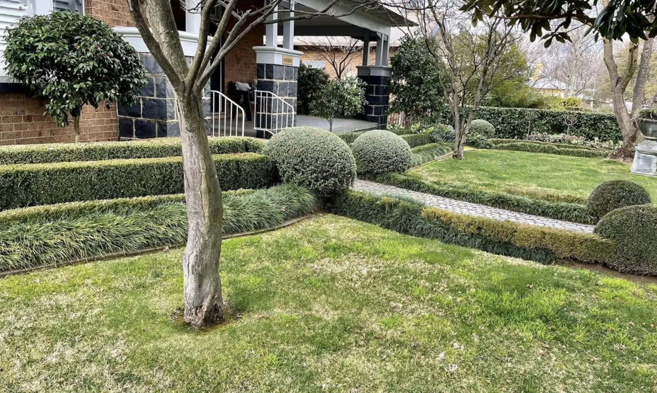 landscaping-orangensw-hedgepath.jpg