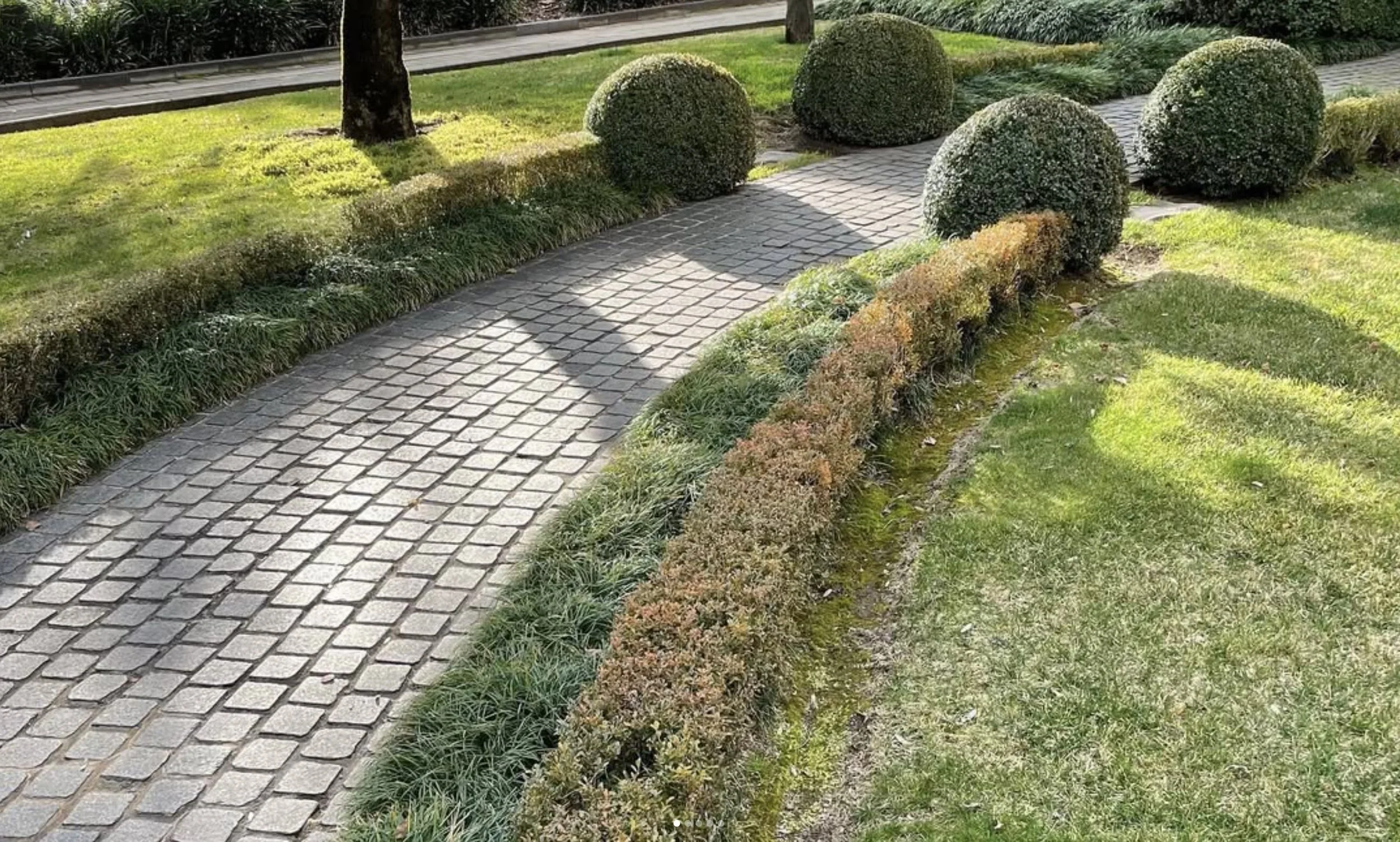 landscaping-orangensw-magpath.jpg