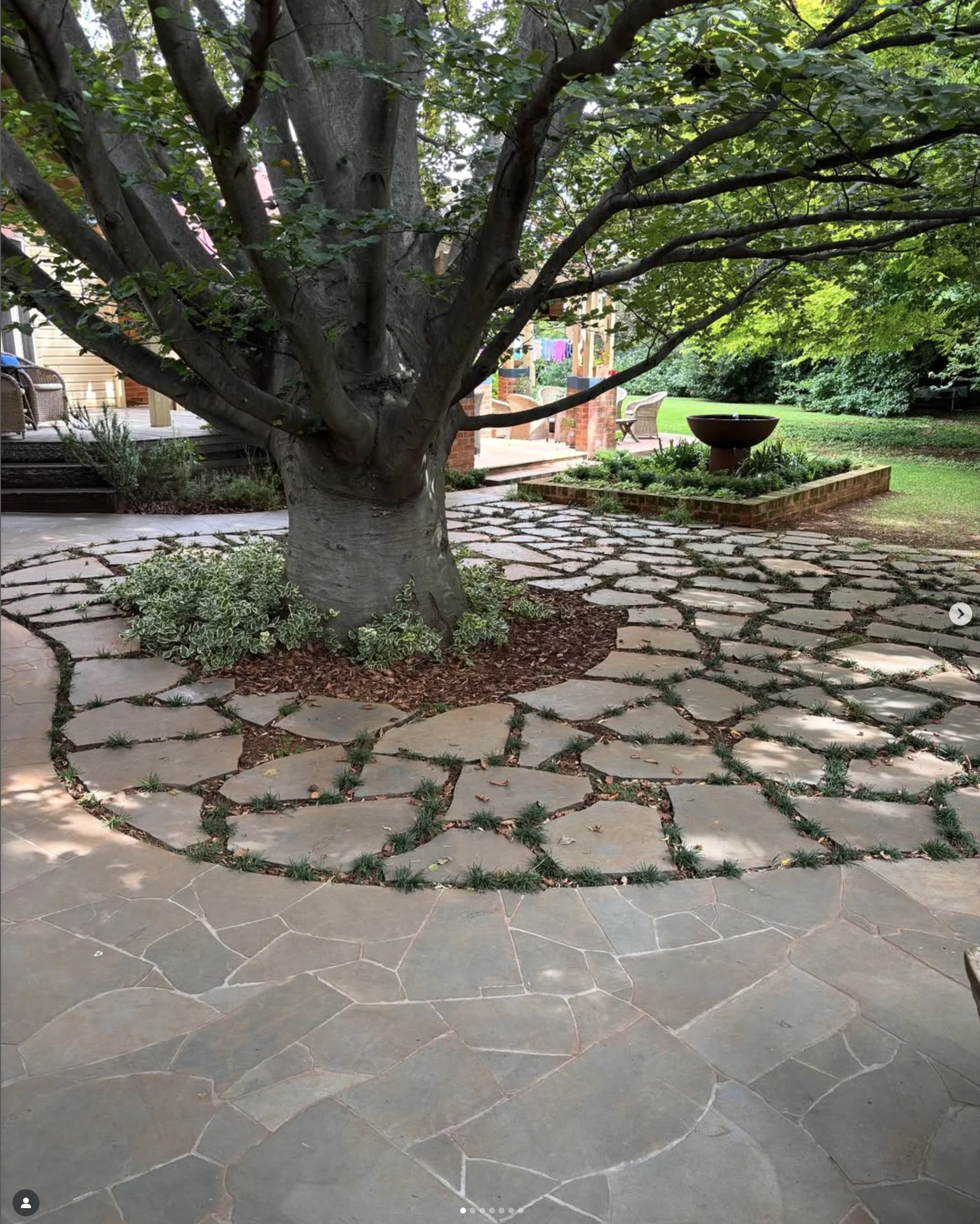 landscaping-orangensw-tree.jpg