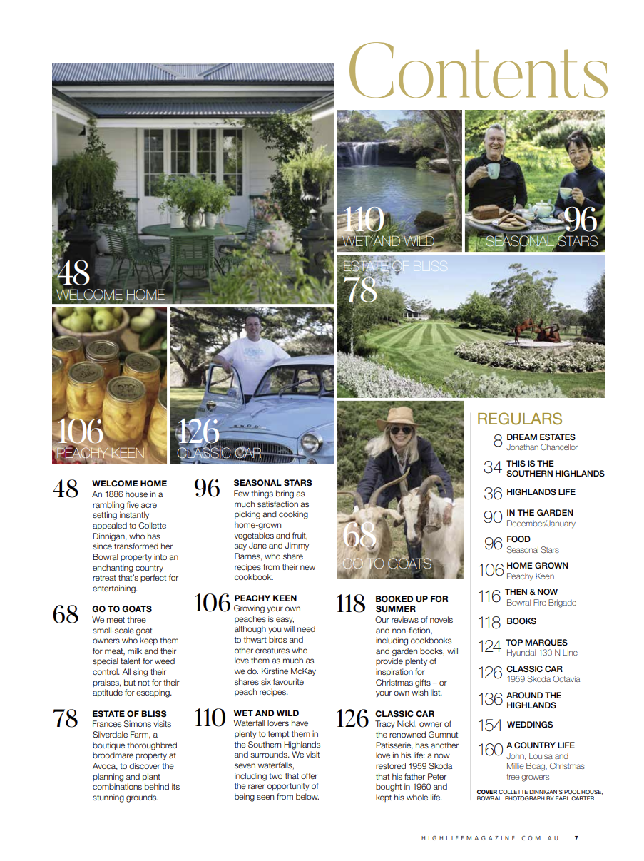 Highlife contents Jan 2025 Dec 2026.png