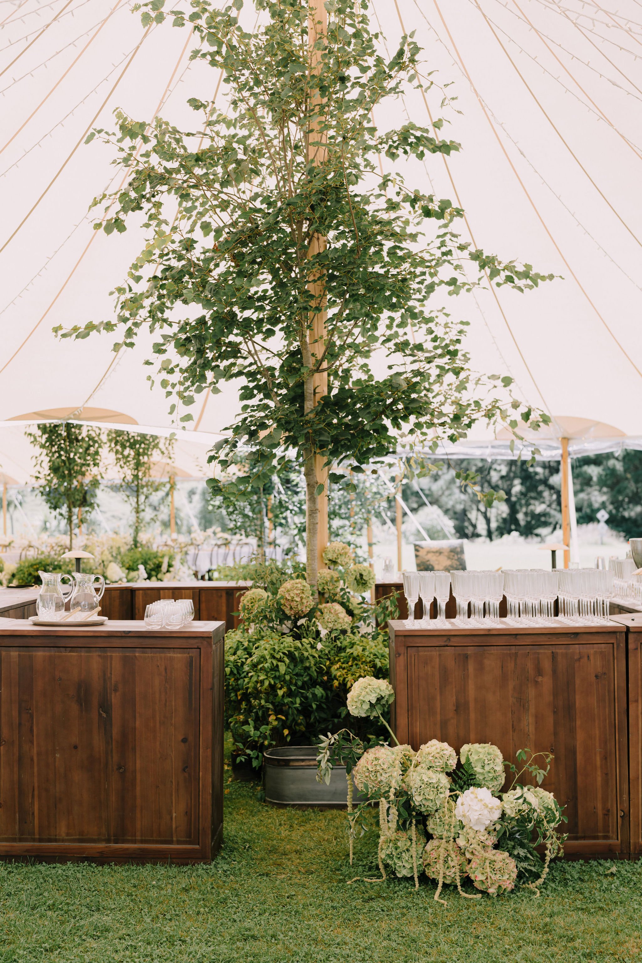 Indoor event setup with a large central tree, surrounded by wooden counters, floral arrangements, and glassware, under a tent canopy.