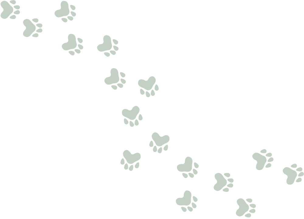 Footprints resembling paw prints in green, spaced along a diagonal line on a black background.