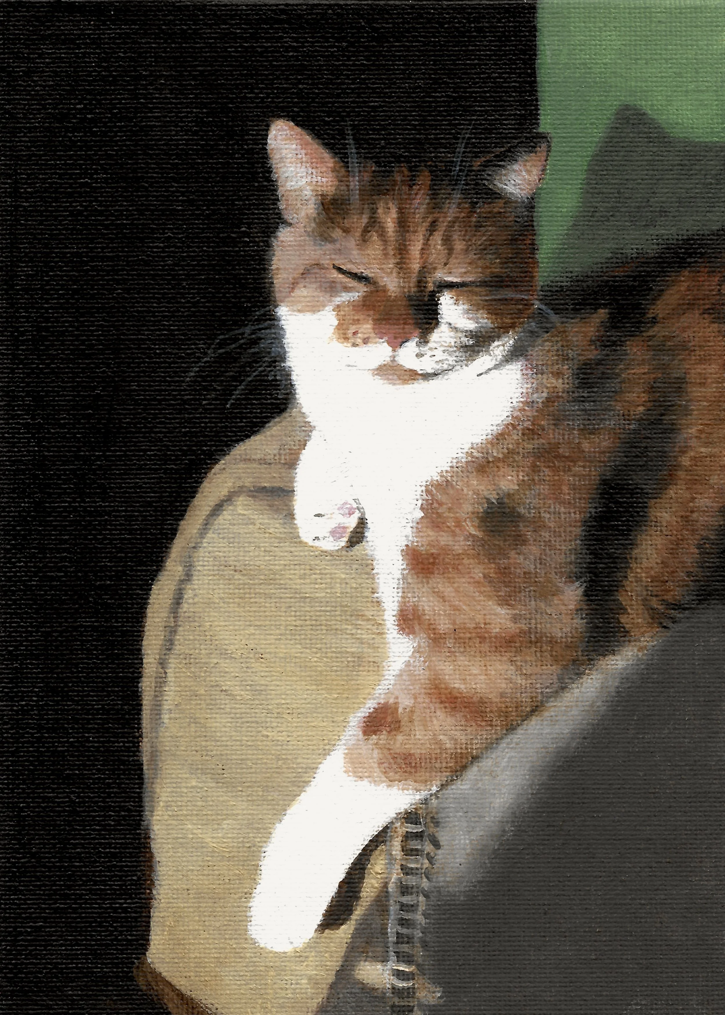 Sunbathing, 2026, Acrylic Painting on 7x5 inch canvas board, original and prints available to purchase
