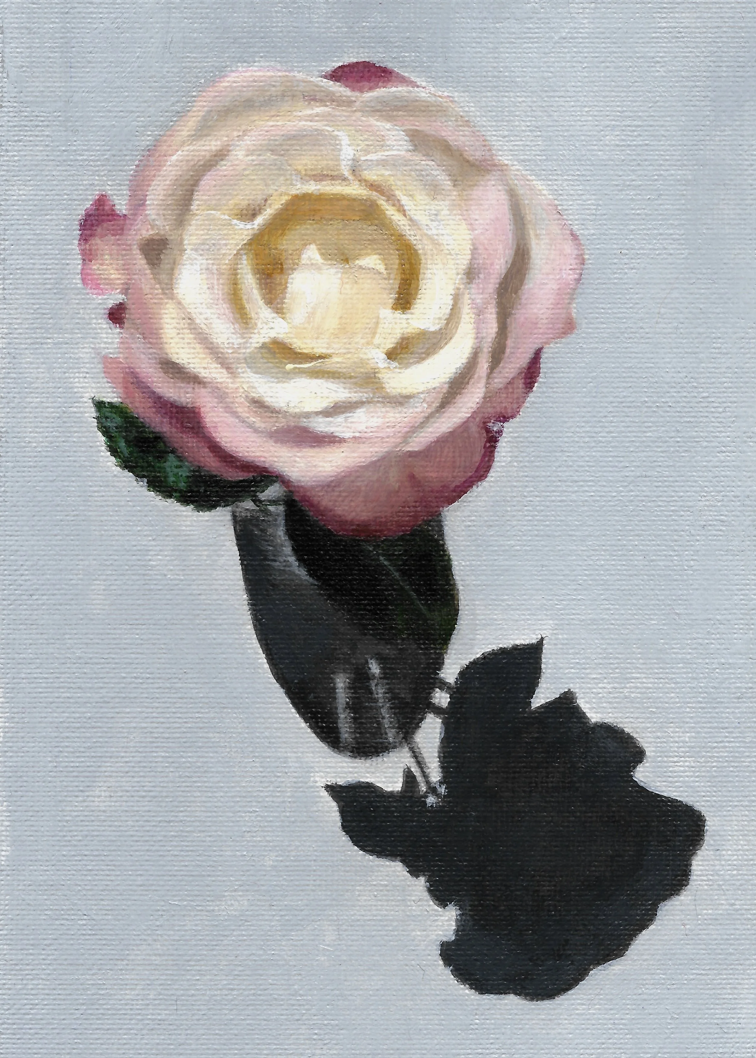 A Rose Called Nostalgia, 2026, 7x5 inch acrylic painting on canvas board. Original and prints available to purchase.