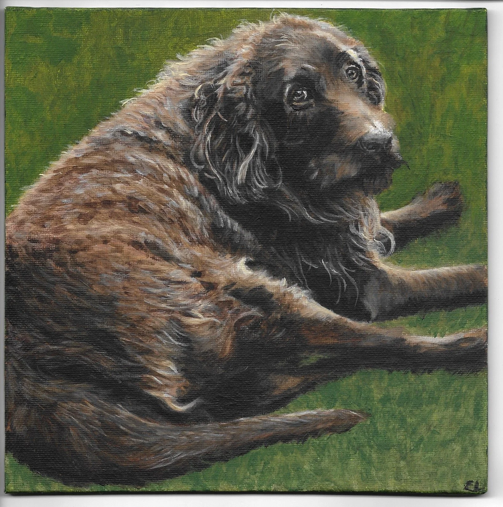 Fenn, 20x20cm canvas board, 2025