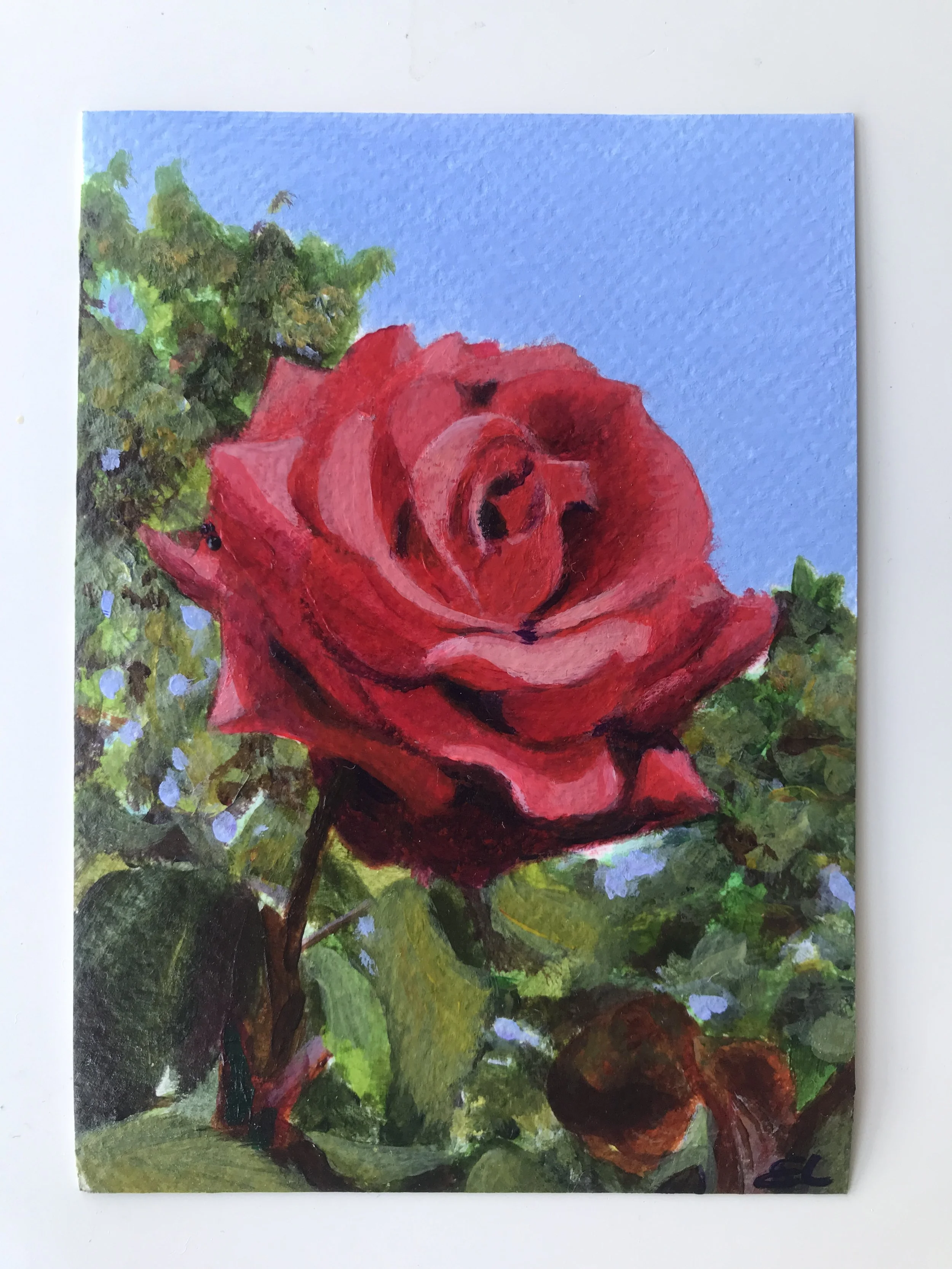A rose is a rose is a rose, postcard, 2026. Original acrylic painting made for the travelling exhibition of the same name, exhibited at 50MV Gallery, Liverpool, September 2026. Instagram: @roseproject24