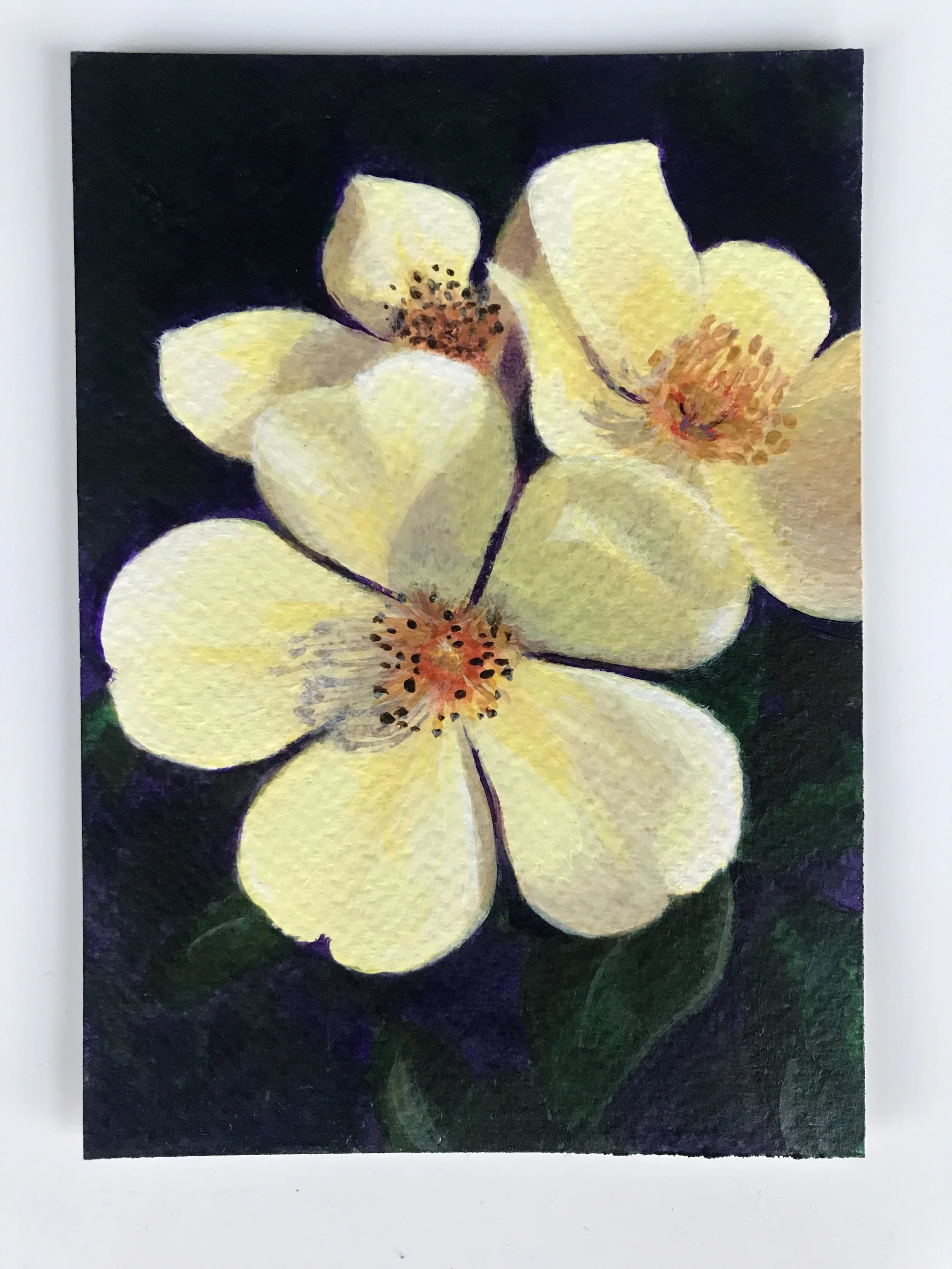 A Single Yellow Rose, postcard, original acrylic painting on heavyweight watercolour paper, 2026. Created and sold in aid of the charity 'All In for Fin'.