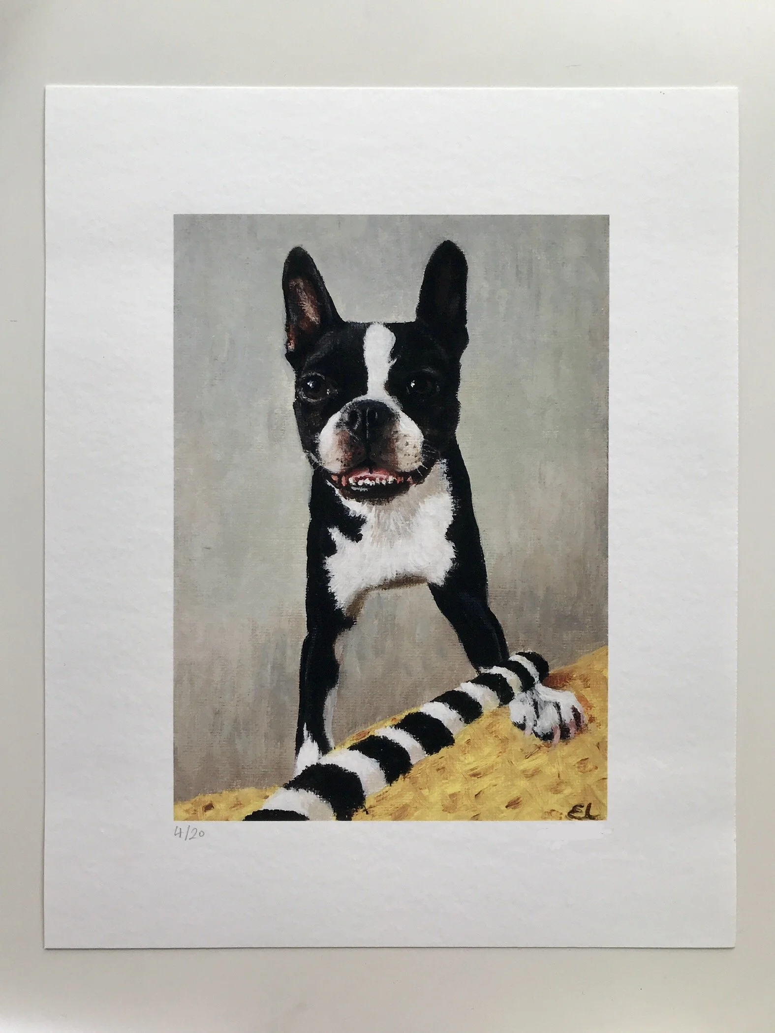 Luna, Boston Terrier, signed limited edition giclée prints, edition of 20, paper size 10x8 inches, image size 7x5 inches, 2025. £25 each 