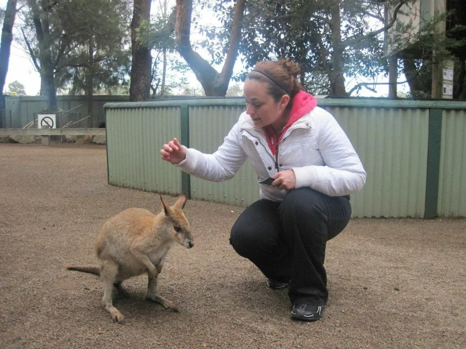 A woman squatting and feeding a wallaby in an outdoor enclosure.