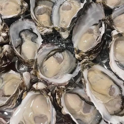 Bruny Island Oysters