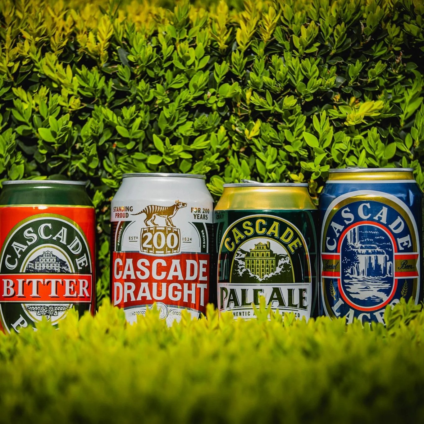 Cascade Brewery Co — A Taste of the Huon