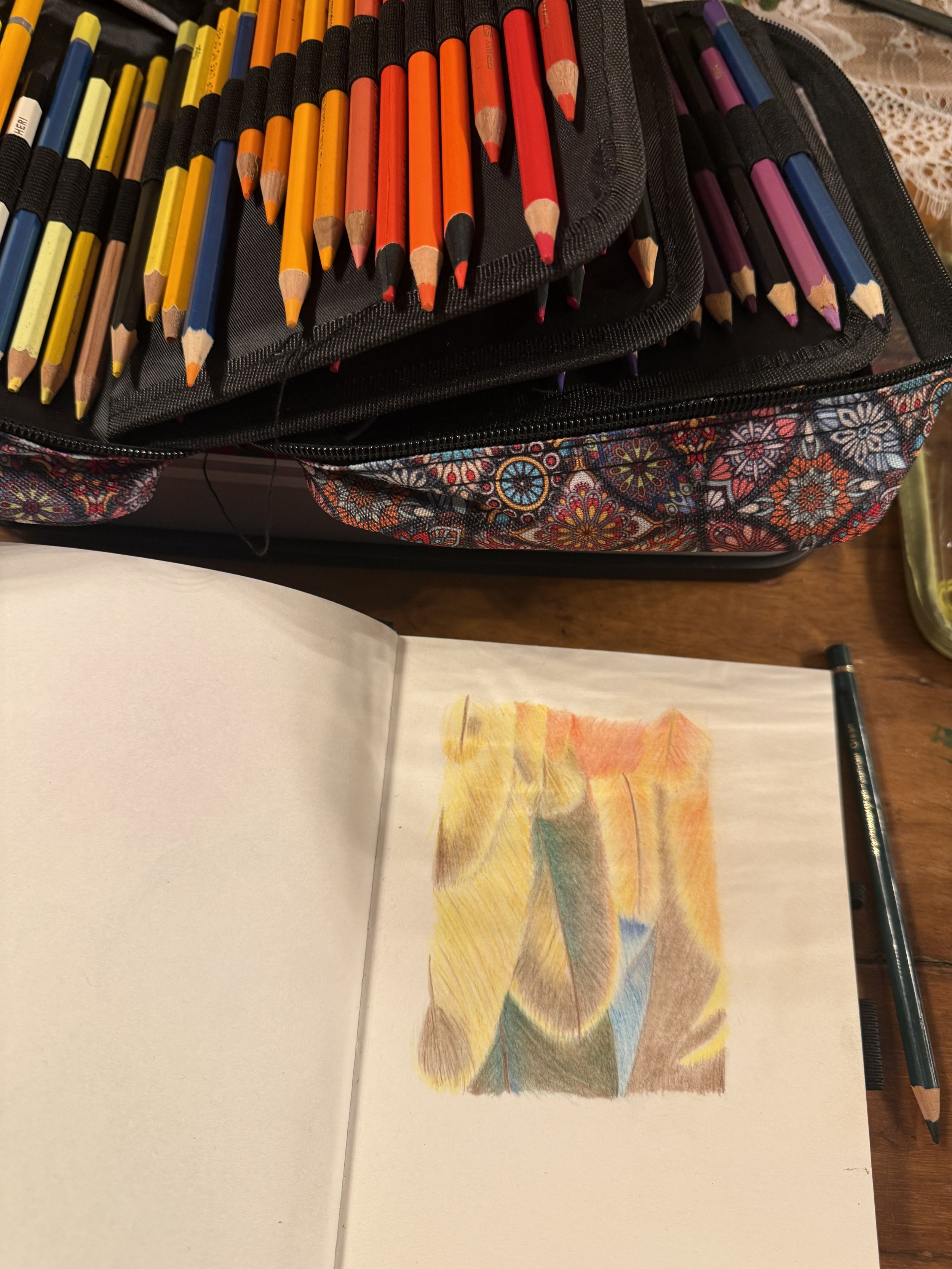 IMG_5127.jpeg