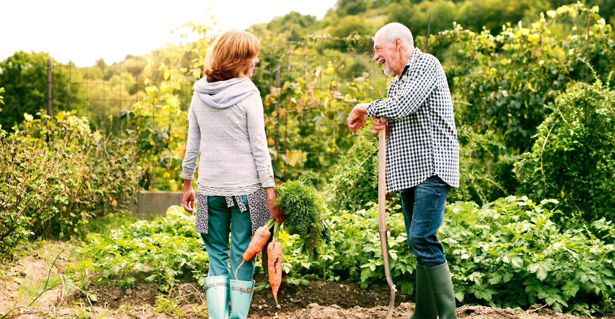 ALLOTMENTS