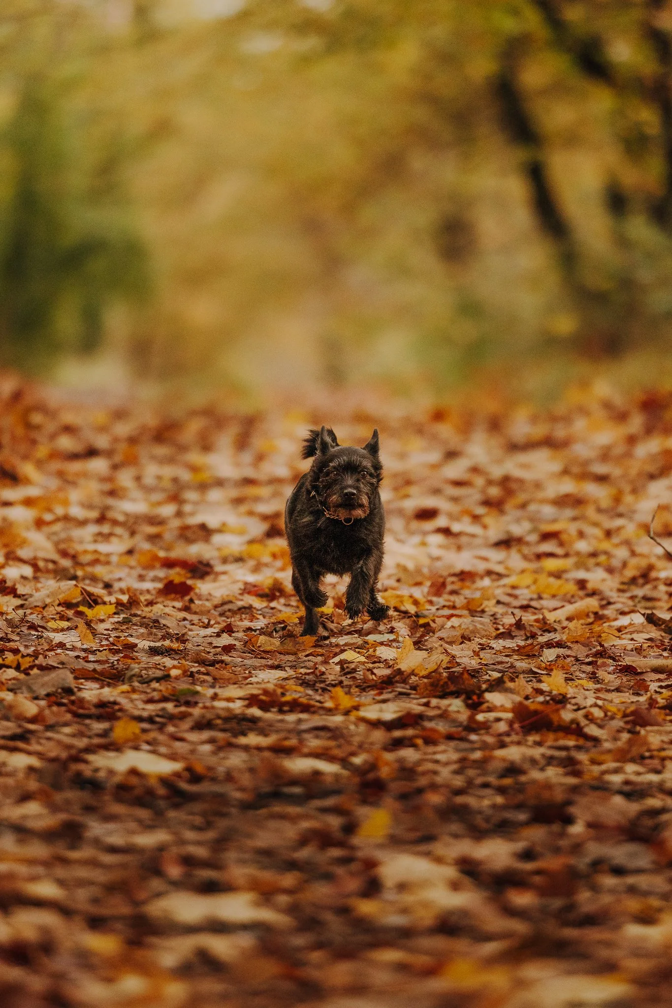 Eileen & Hannes-09.jpg