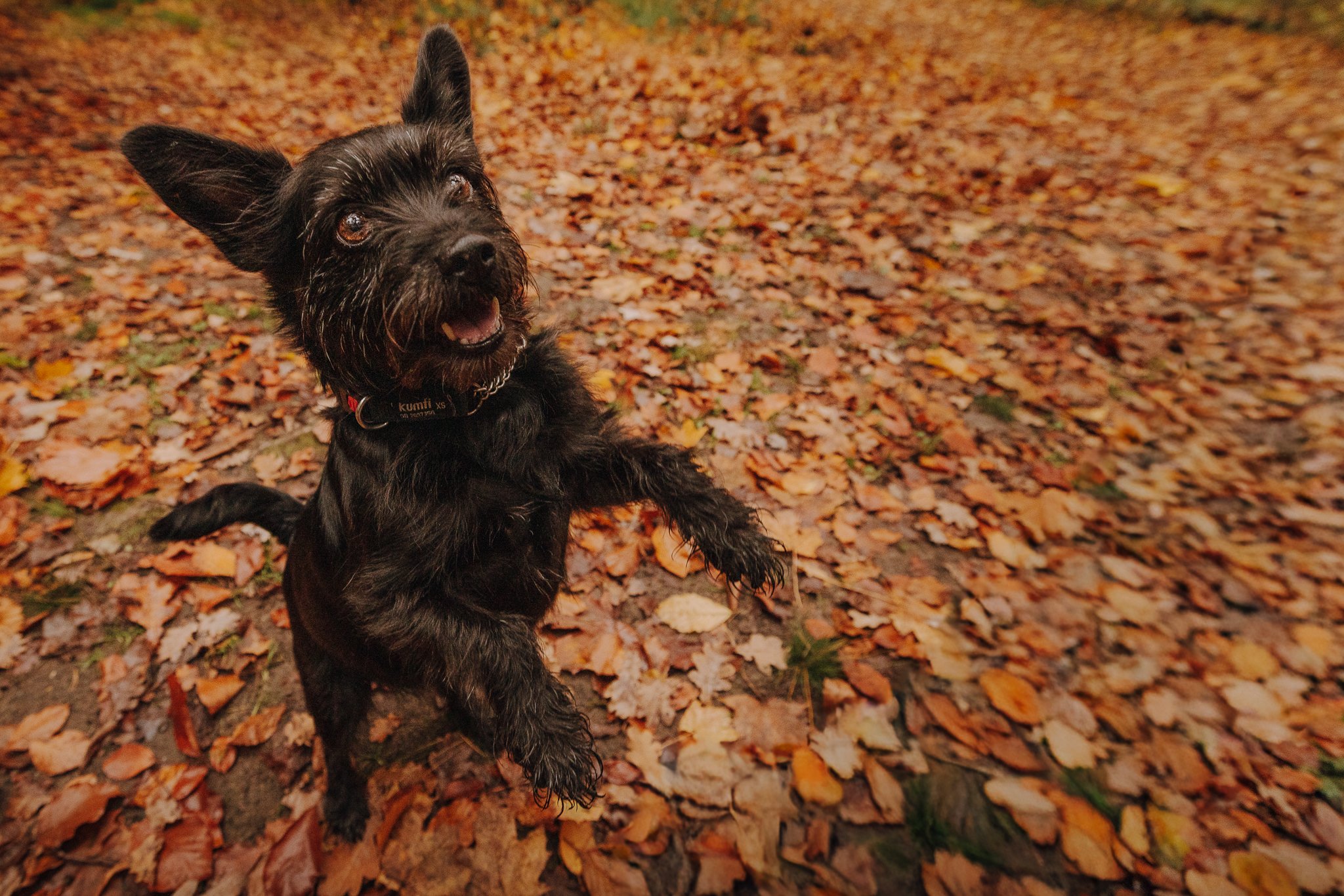 Eileen & Hannes-15.jpg