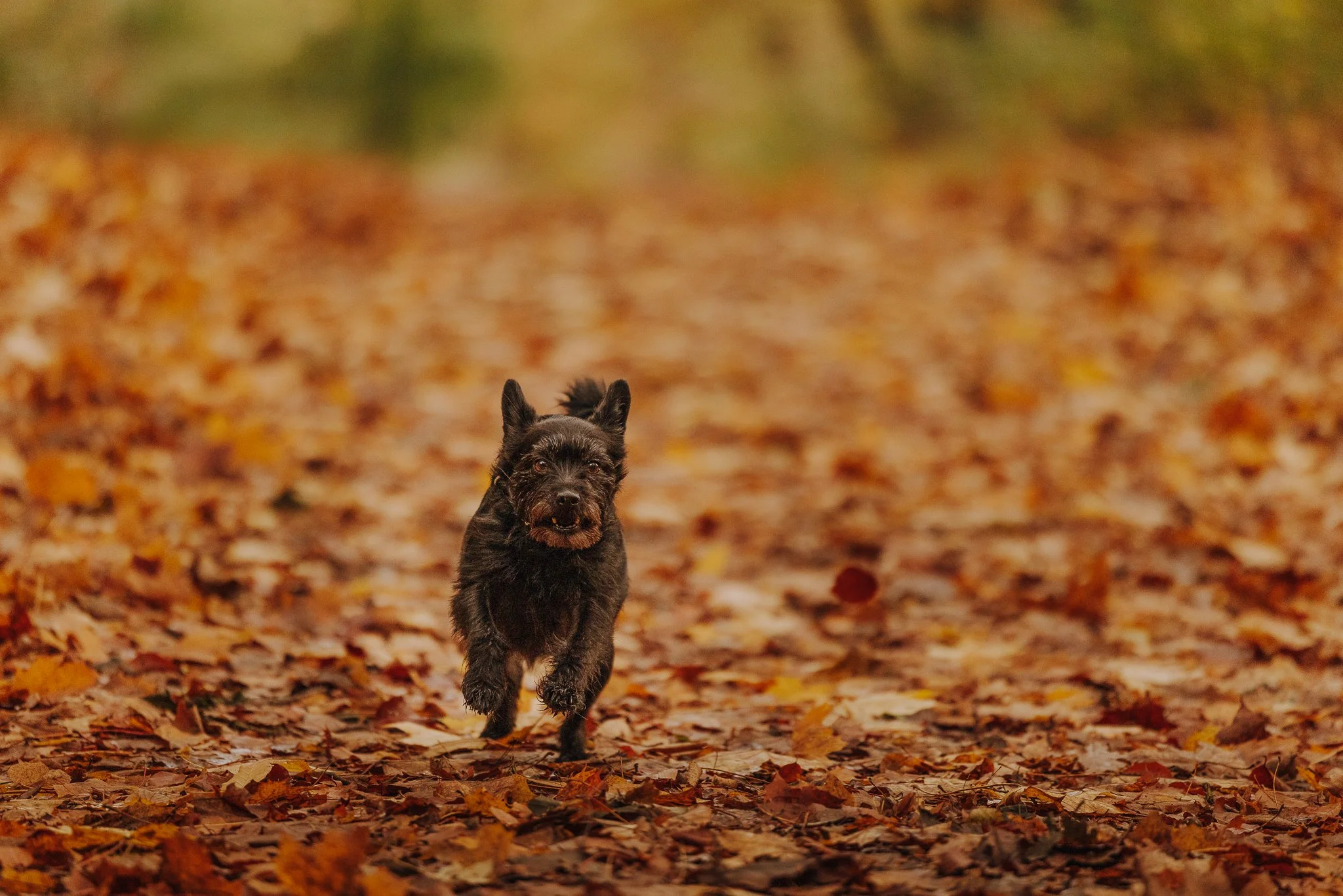 Eileen & Hannes-10.jpg