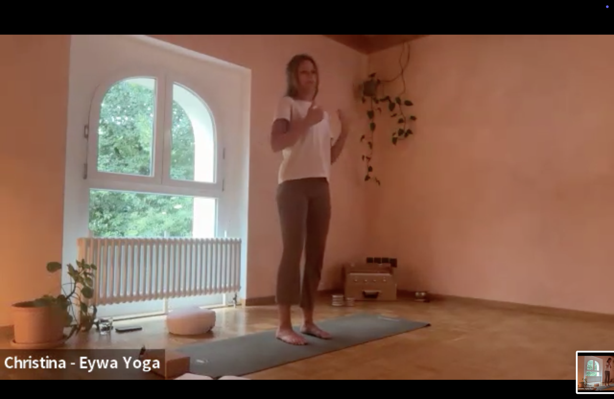 Frau macht Yoga im Wohnzimmer vor einem großen Fenster mit Blick auf grüne Bäume. Sie steht auf einer Yogamatte in der Baumhaltung. Im Raum sind Pflanzen und ein Heizkörper zu sehen.
