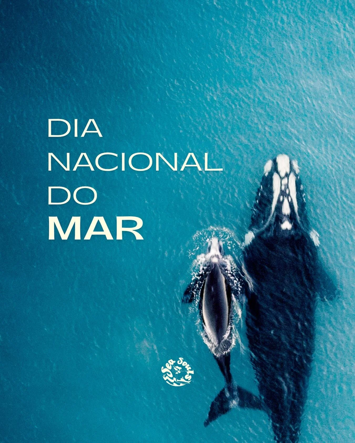 Hoje celebra-se o Dia Nacional do Mar. O oceano &eacute; casa, ref&uacute;gio e inspira&ccedil;&atilde;o. A casa m&atilde;e deste projeto, o nosso ponto de partida. Onde flu&iacute;mos, sentimos, confiamos. 
Cuidar do mar &eacute; preservar a vida, a