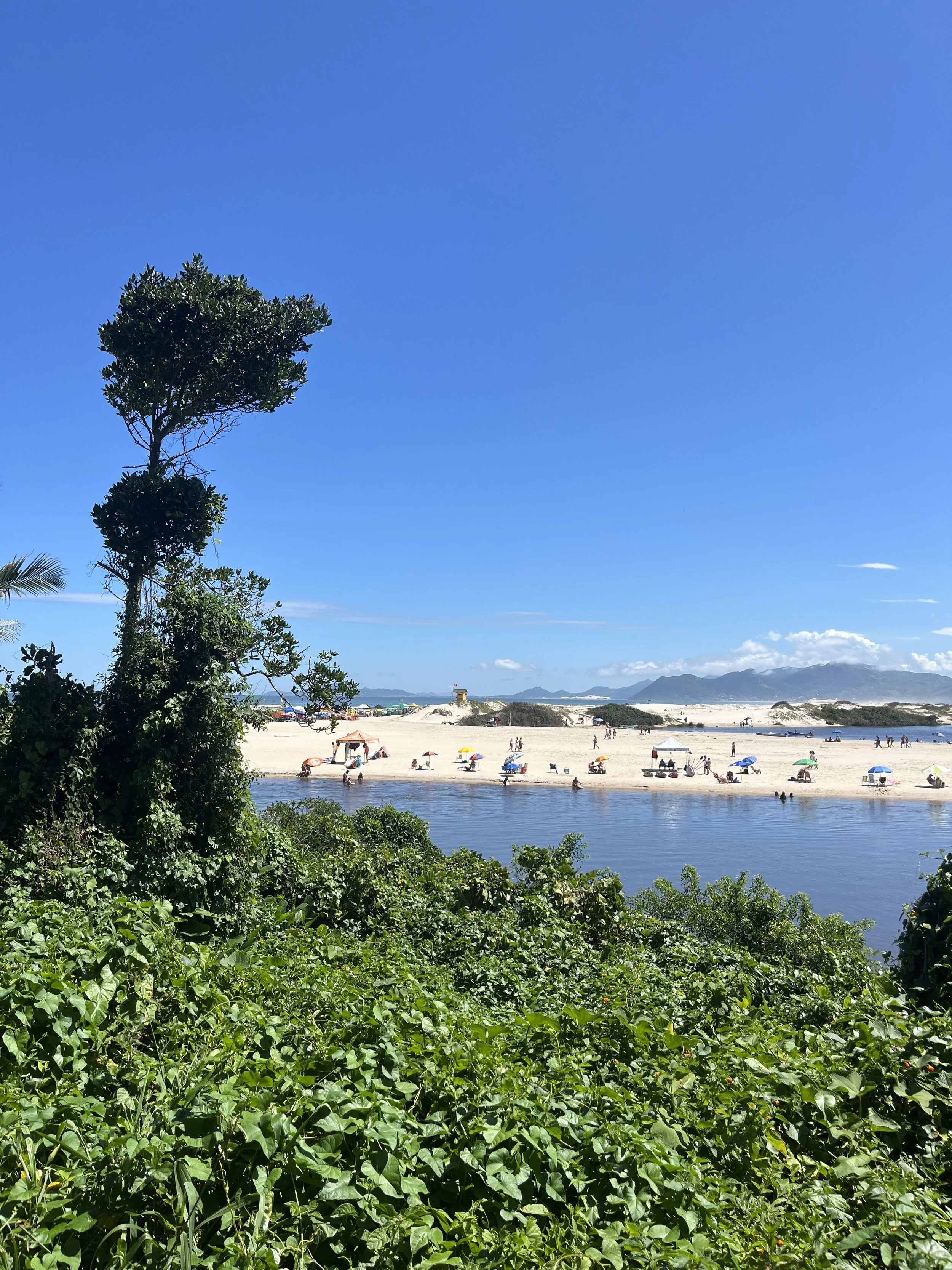 IMG_1791.jpeg