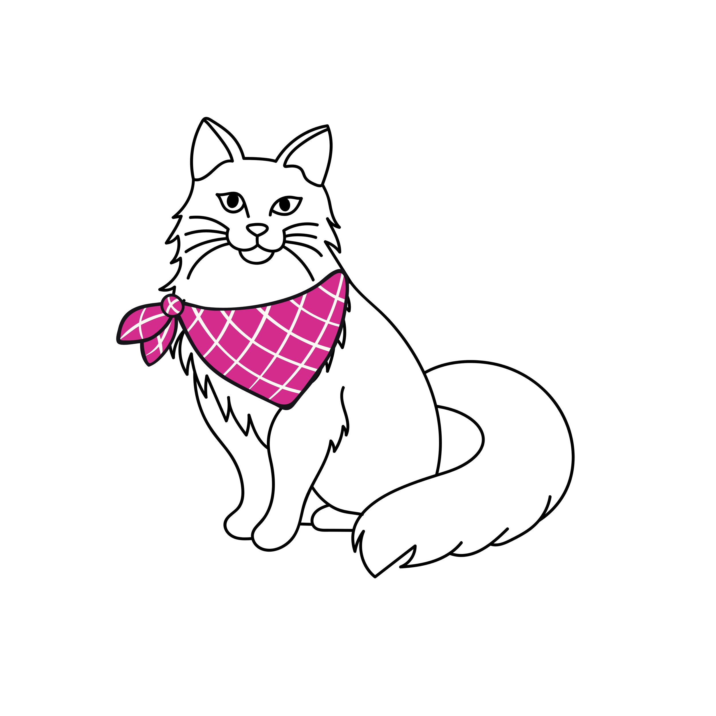 Mobile Cat Grooming
