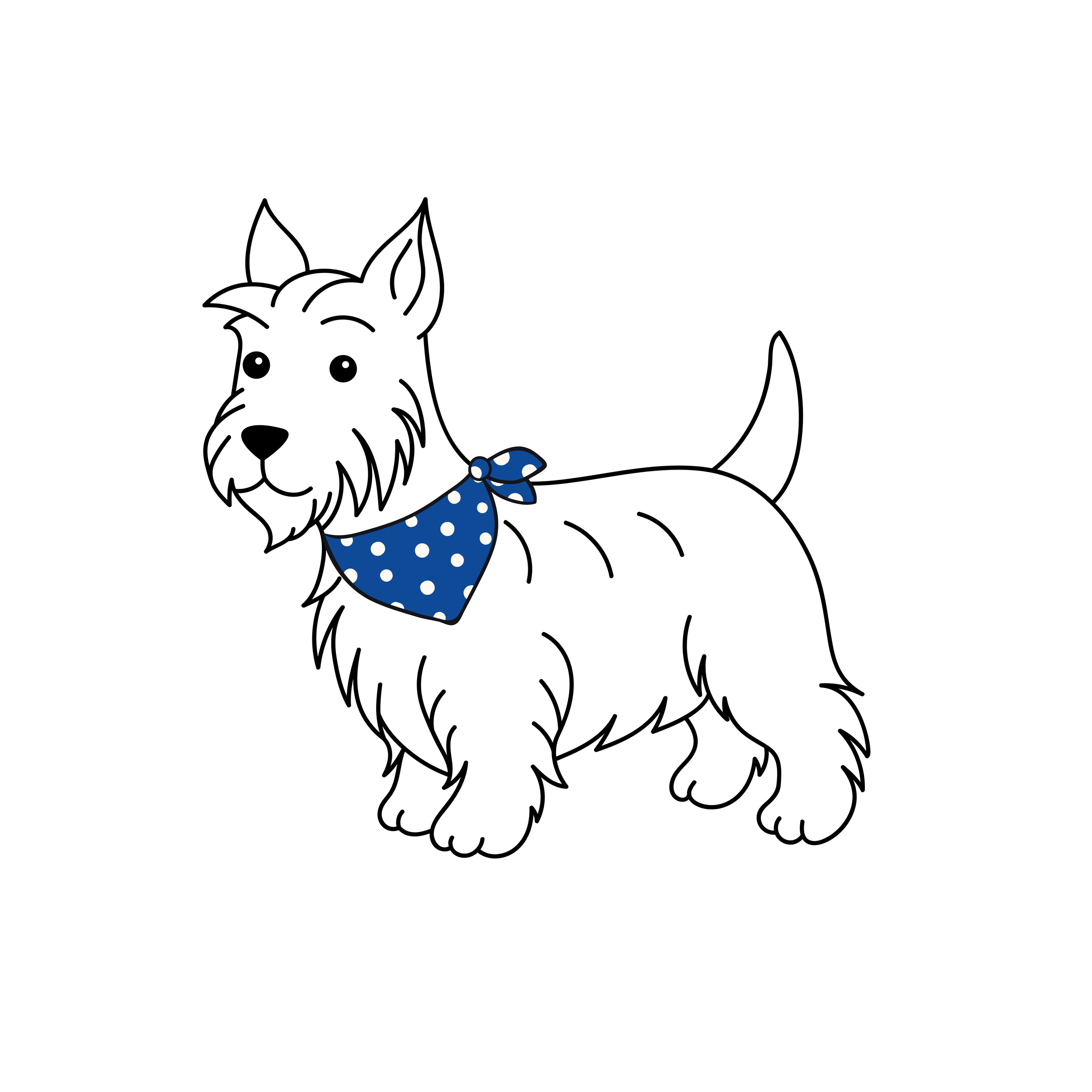 Mobile DOg Grooming