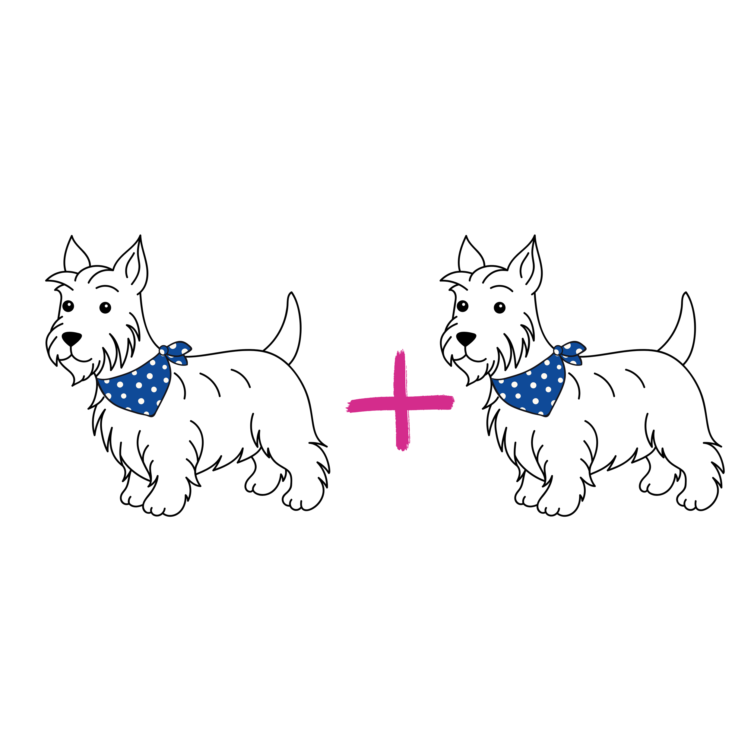 Dog Grooming Discount
