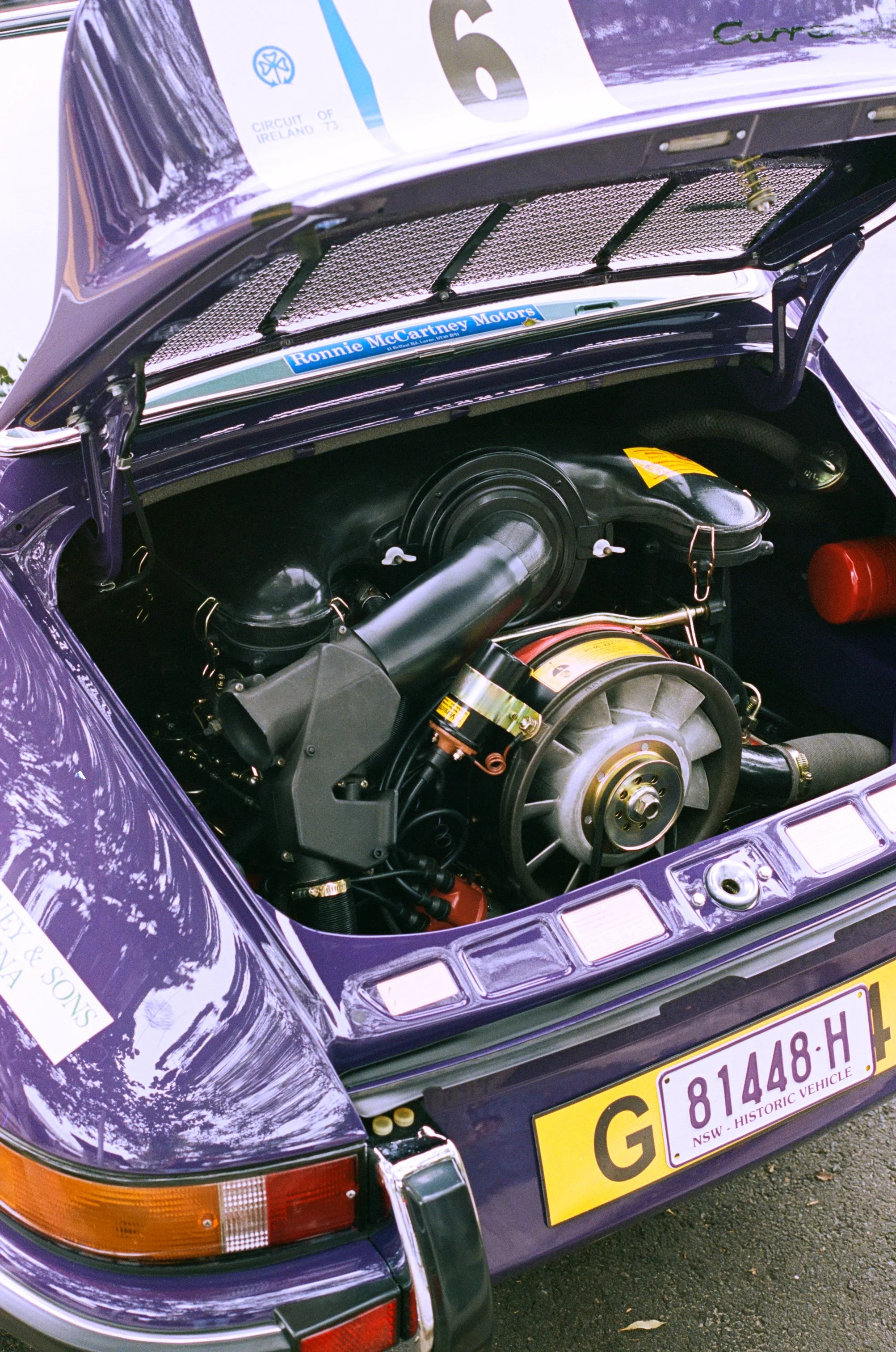 NoosaConcoursimg_007 1.jpg