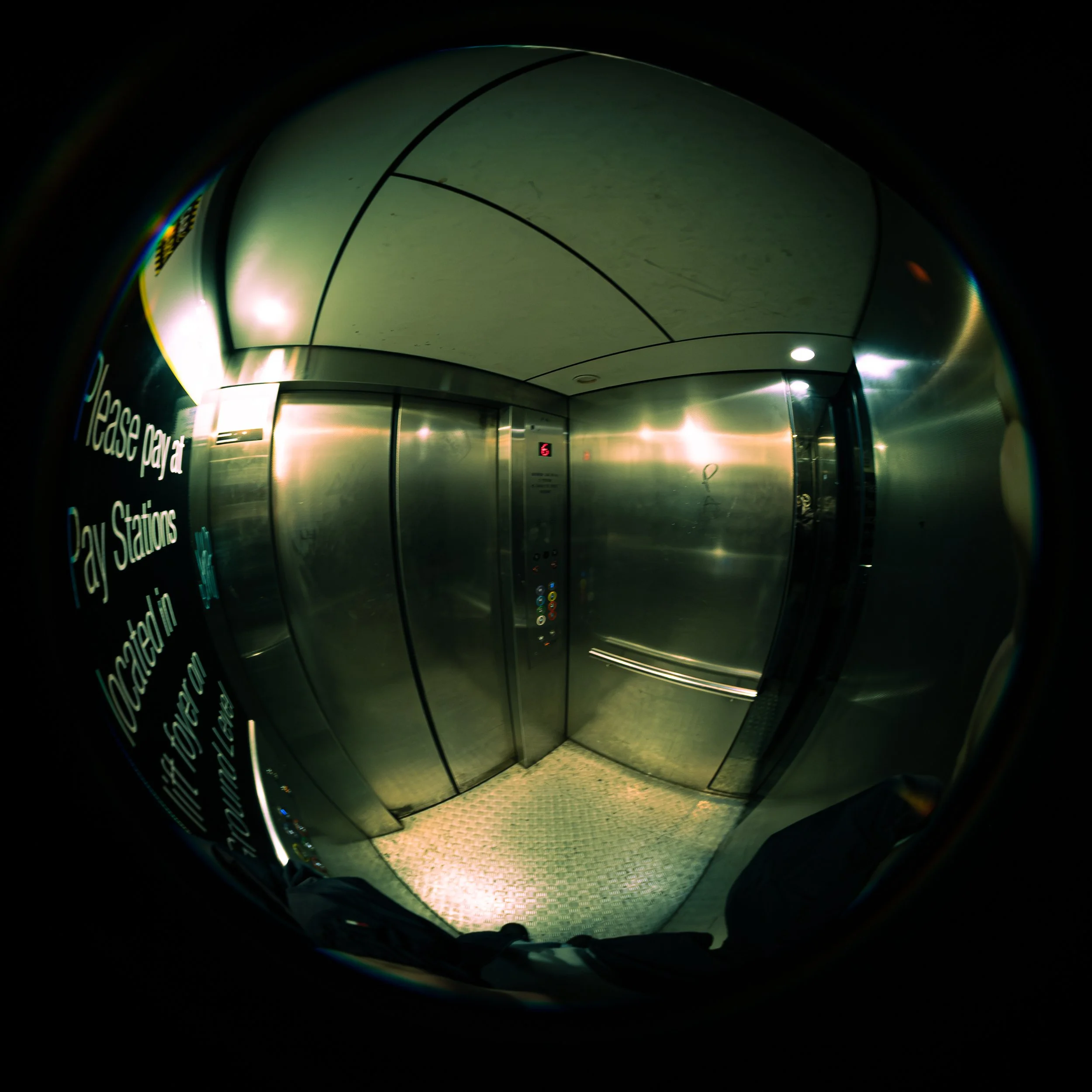 _DSF7613.jpg
