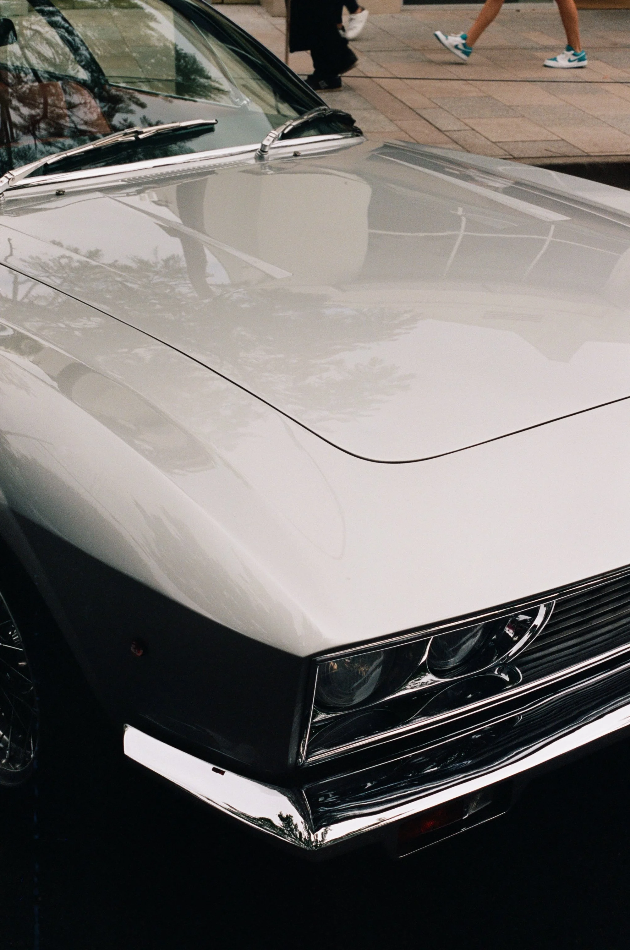 NoosaConcoursimg_001 1.jpg