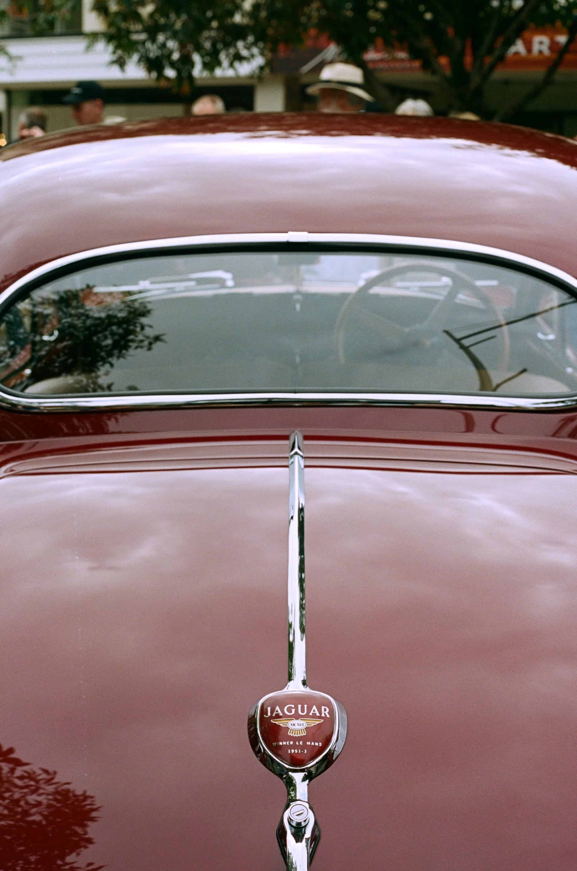 NoosaConcoursimg_017 1.jpg