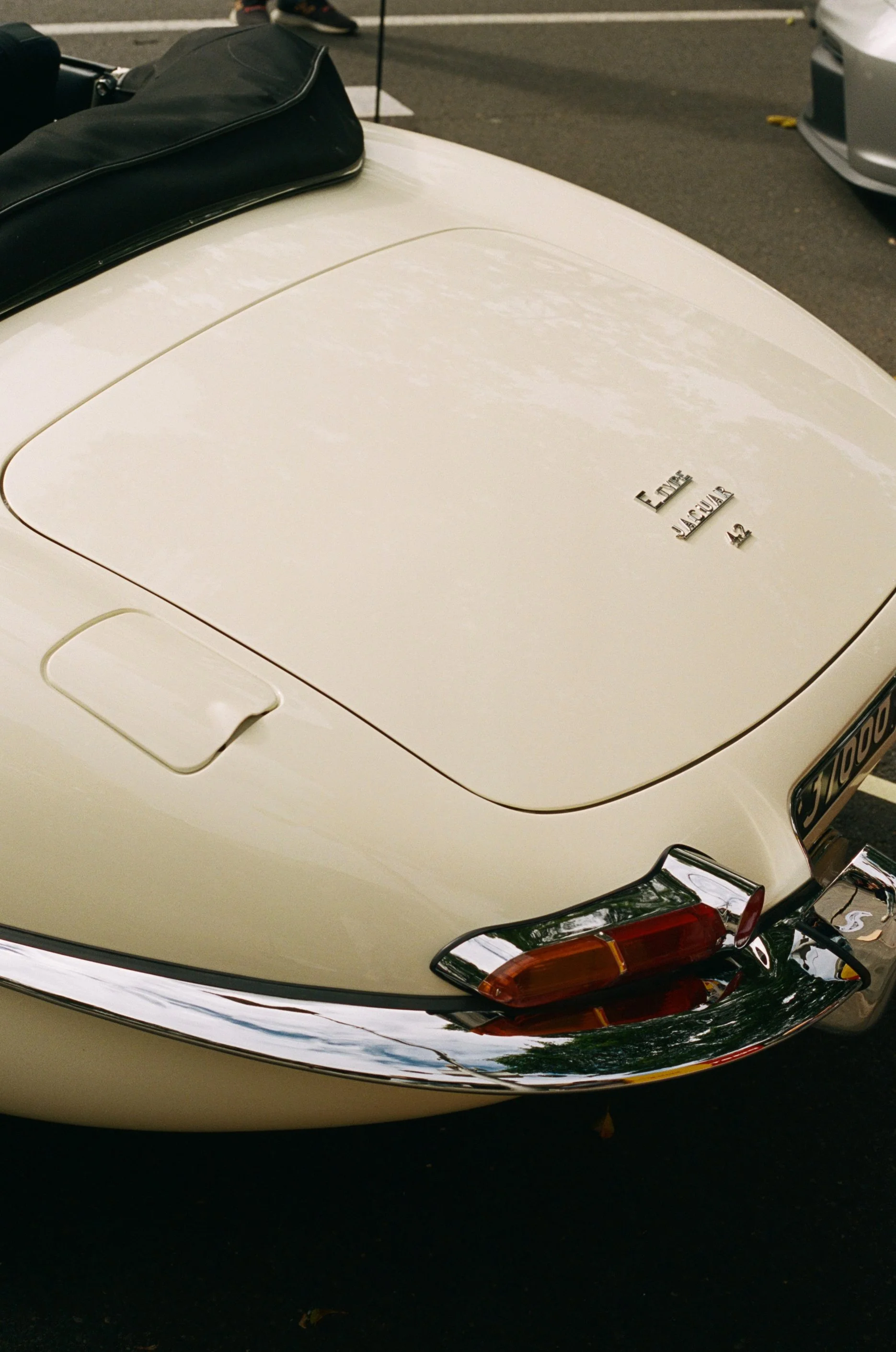 NoosaConcoursimg_025 1.jpg