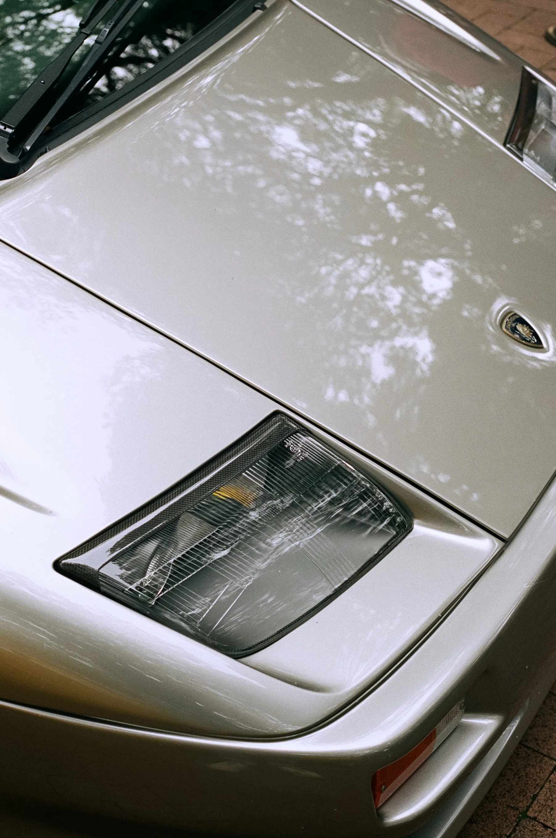 NoosaConcoursimg_015 1.jpg